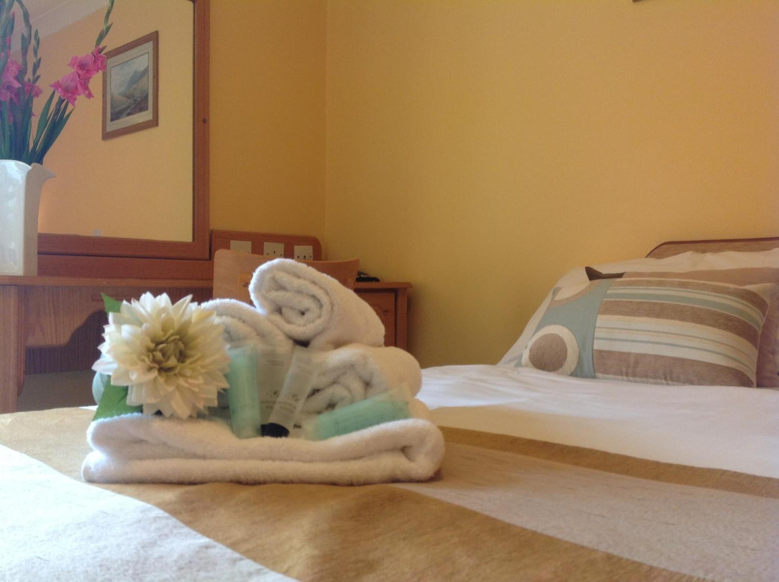 Single Room photo 3