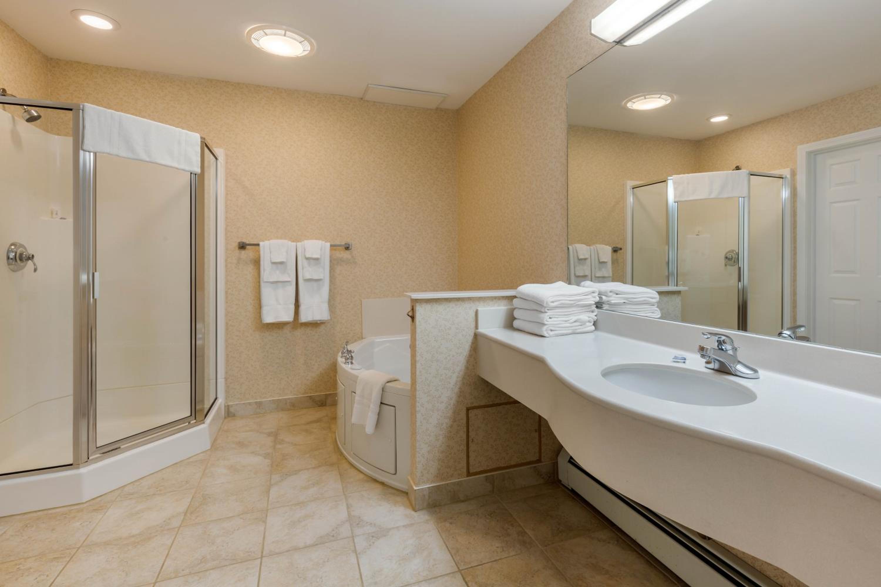 One-Bedroom Suite photo 3