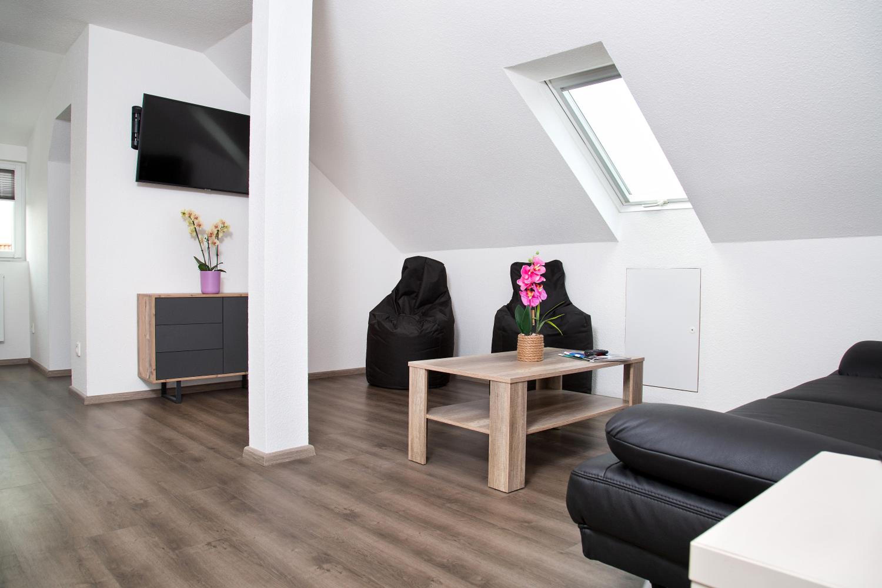 Penthouse Apartment photo 1