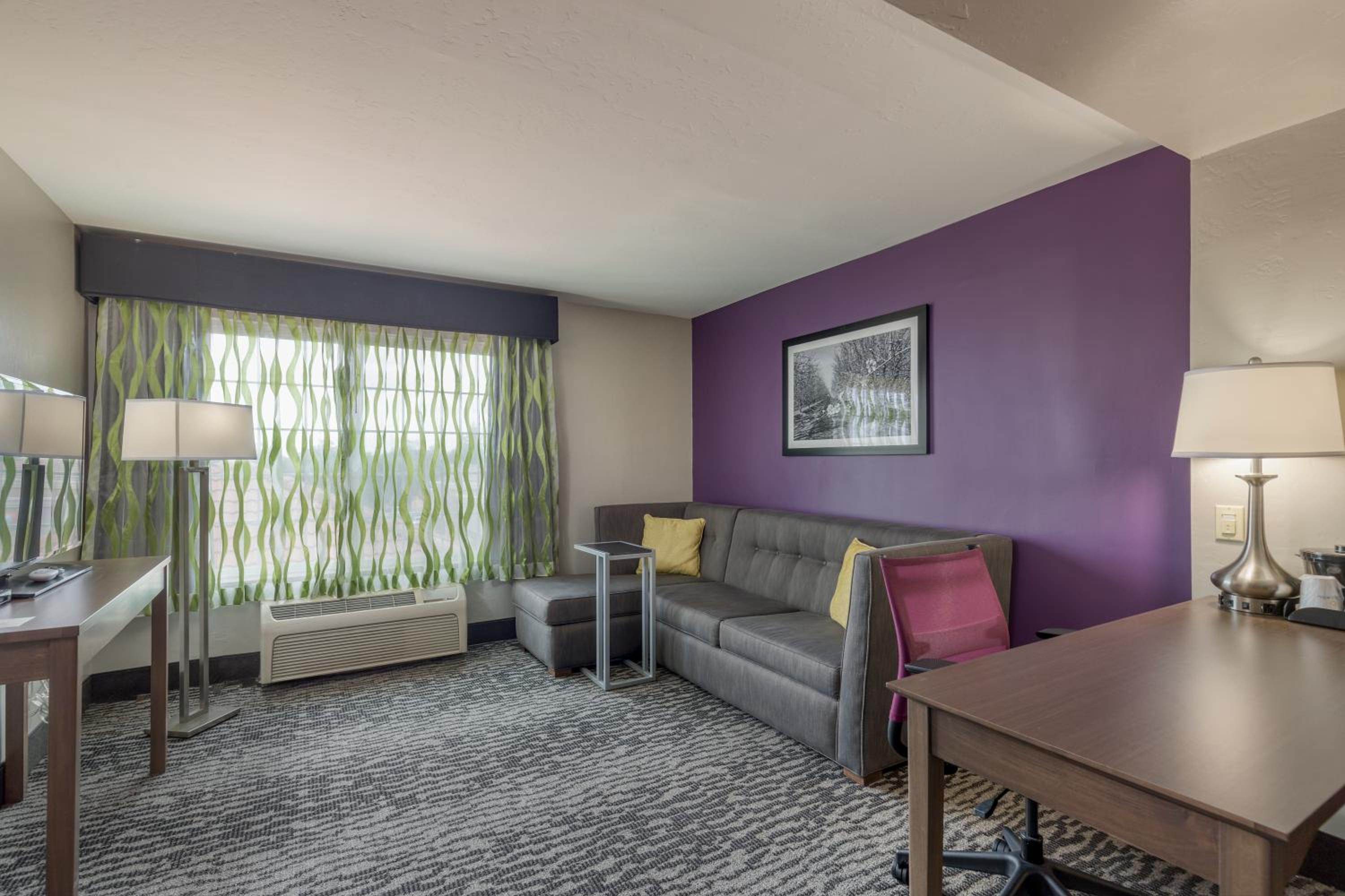 King Suite with Microwave and Fridge - Photo 3