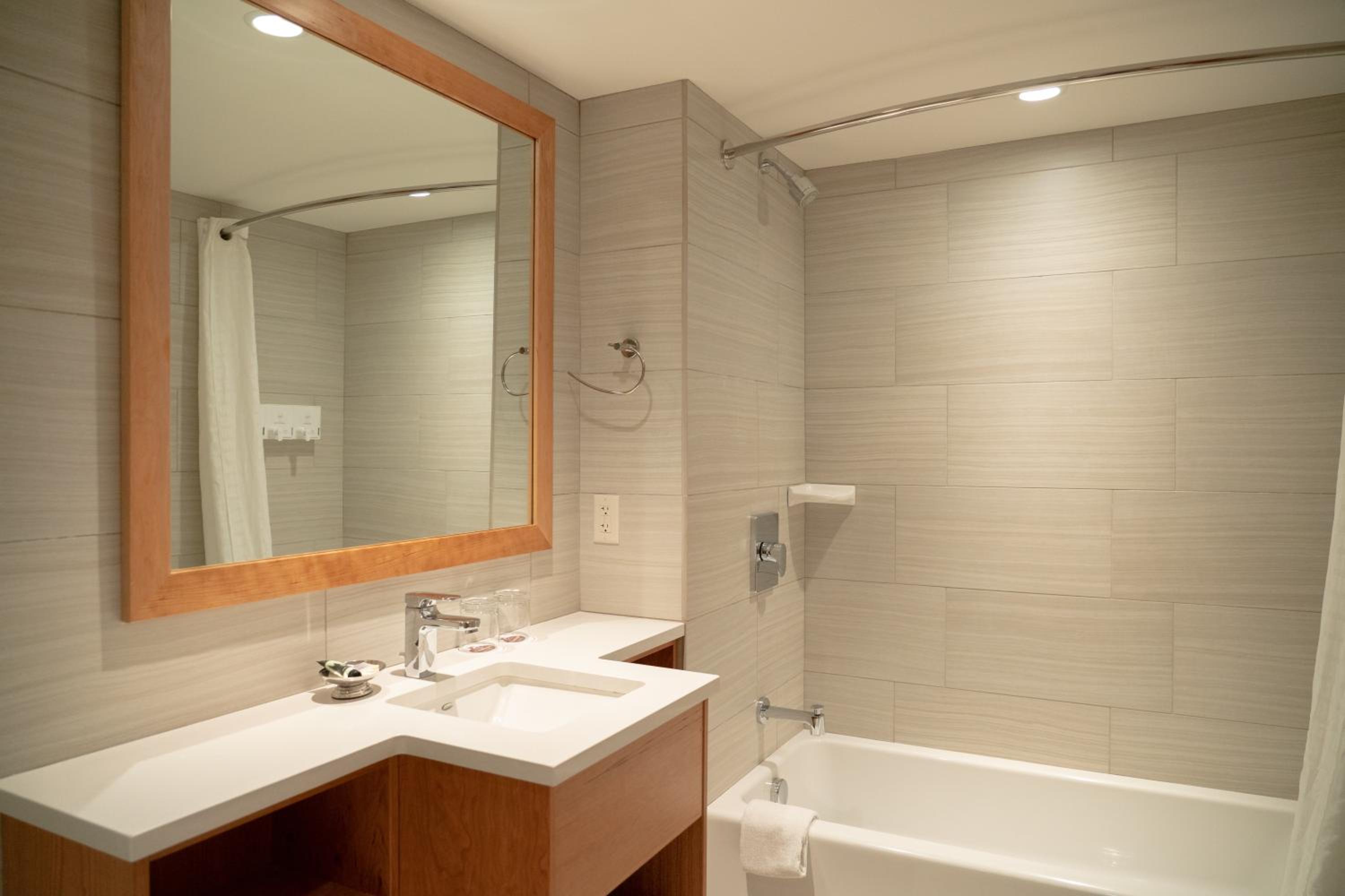 King Suite - Mountain View - Photo 6