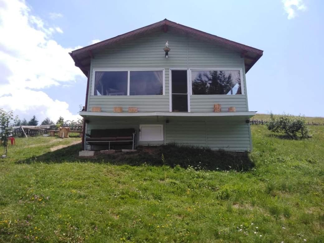 Vacation Home photo 3