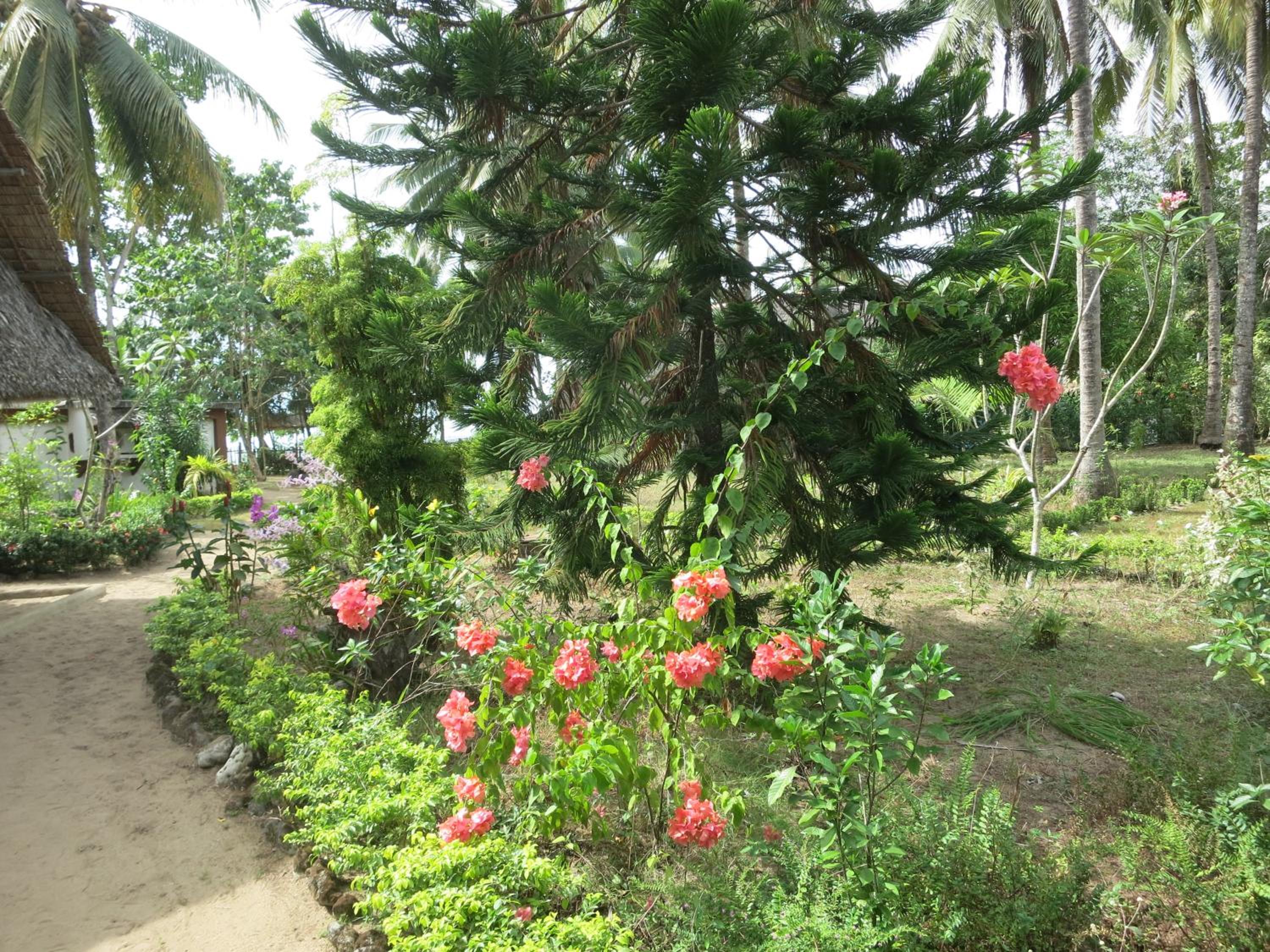 Double Room with Garden View photo 2