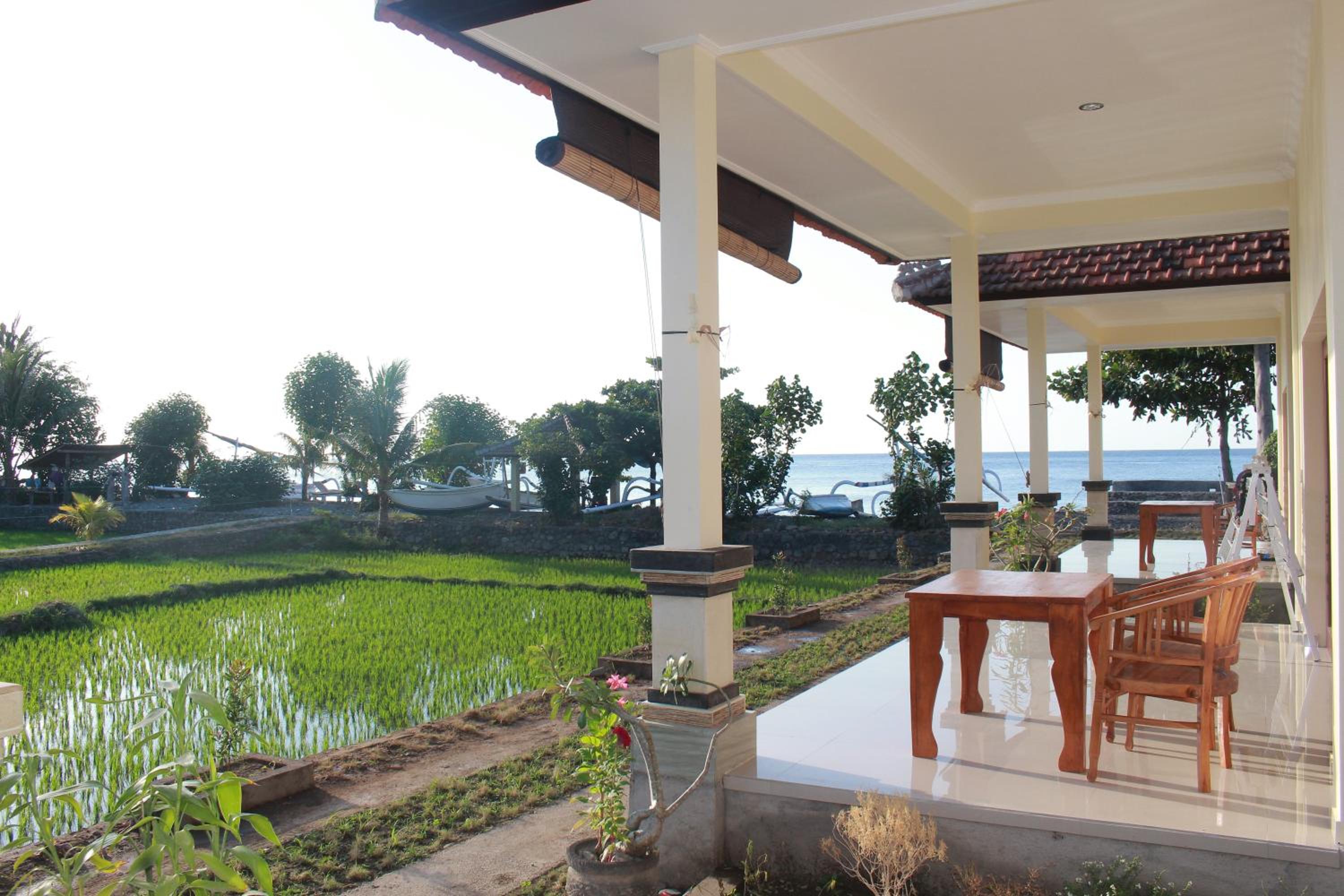 Double Room with Terrace photo 3