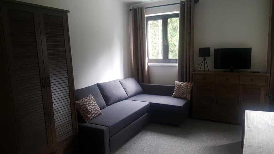 Family Room with Private Bathroom photo 1