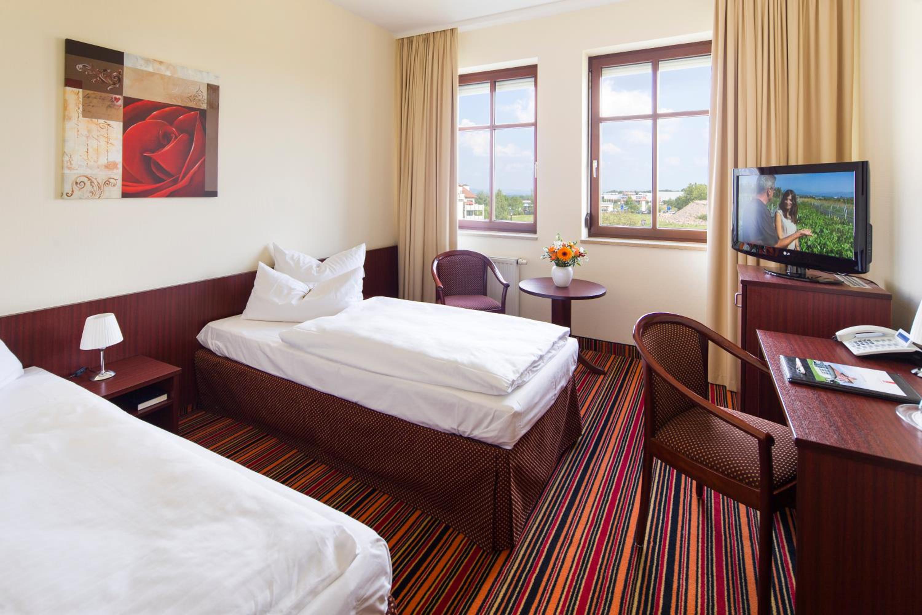 Single Room photo 1
