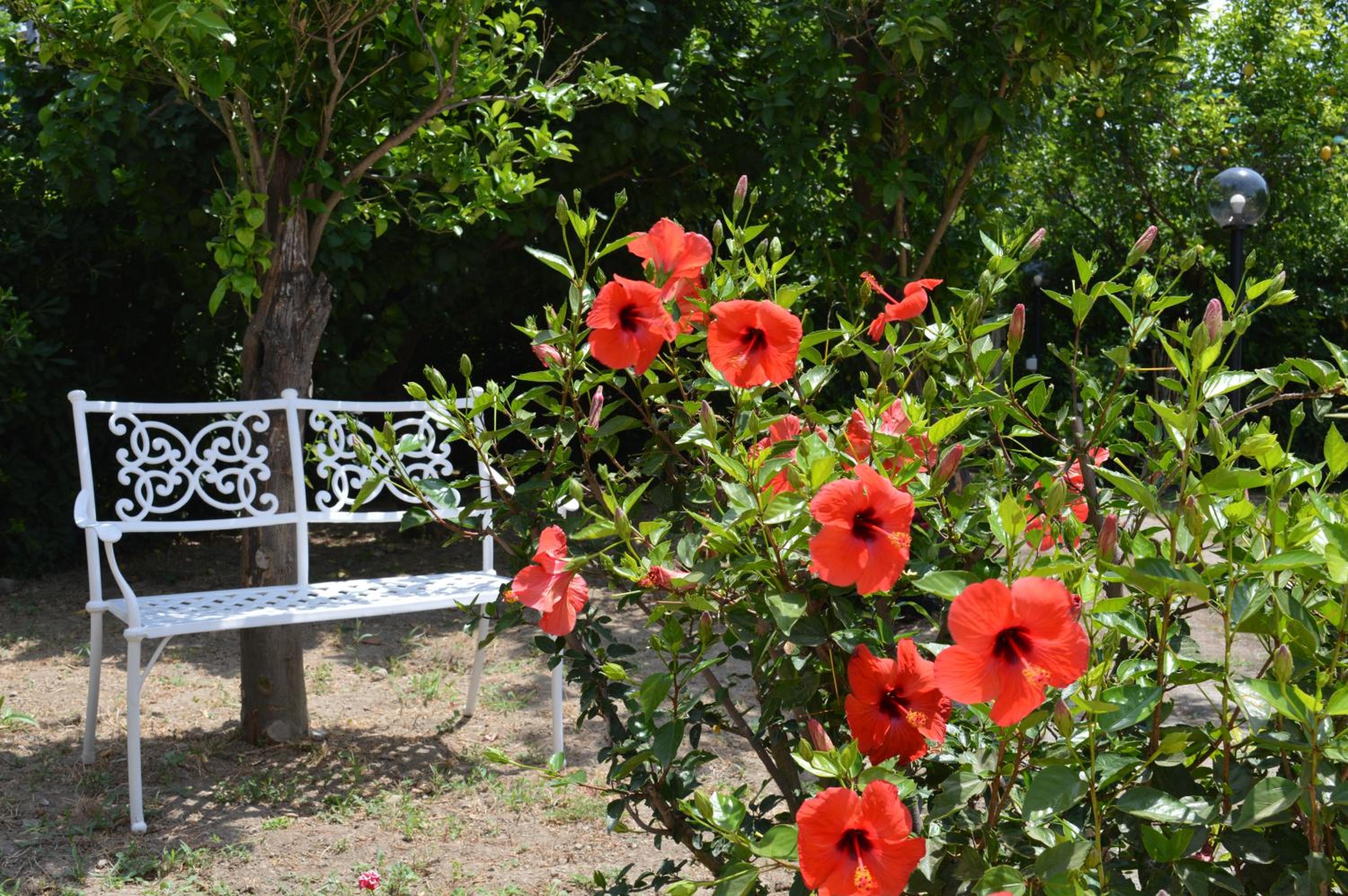 Apartment with Garden View - Photo 42