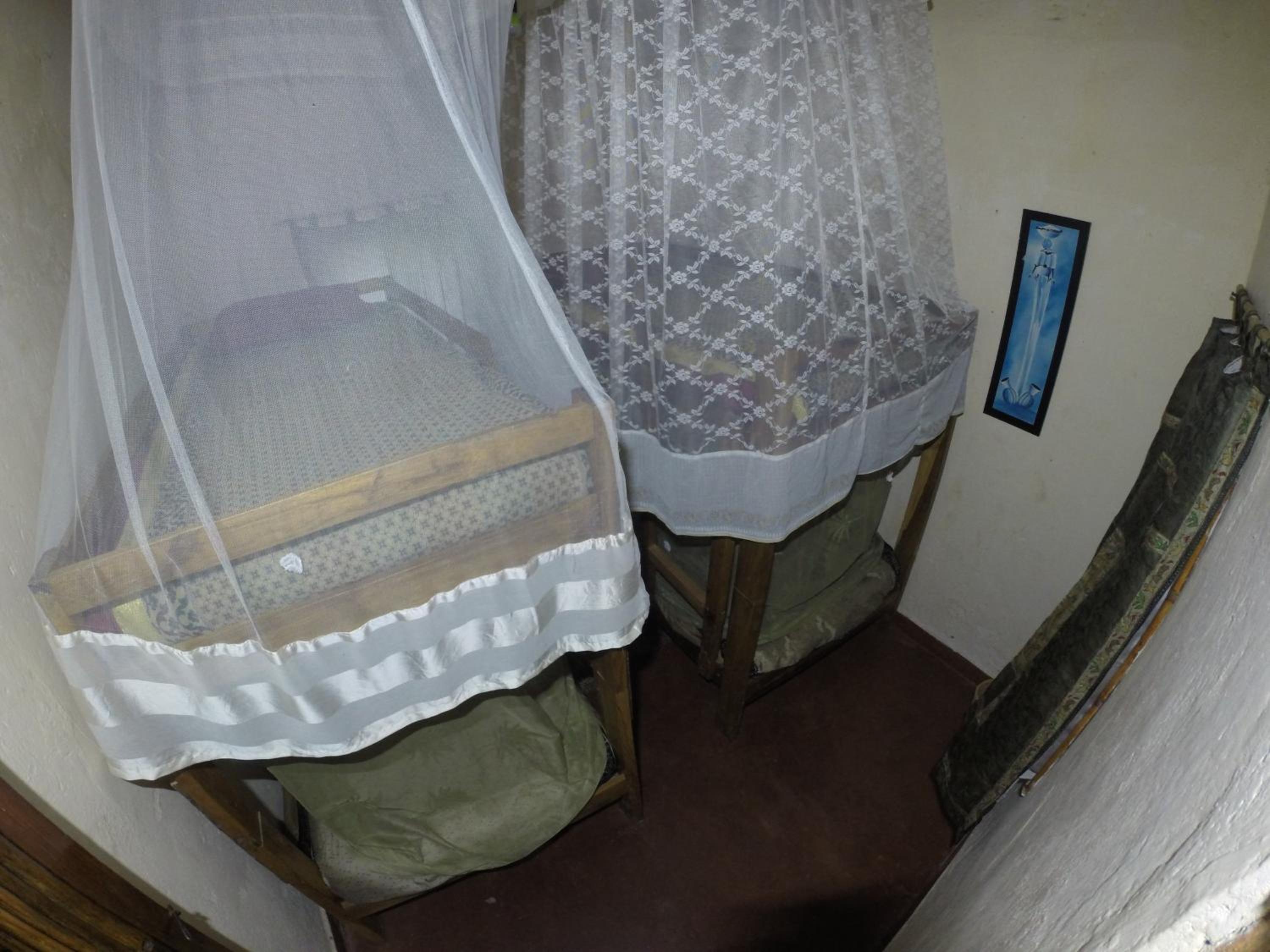 Single Bed in 4-Bed Dormitory Room