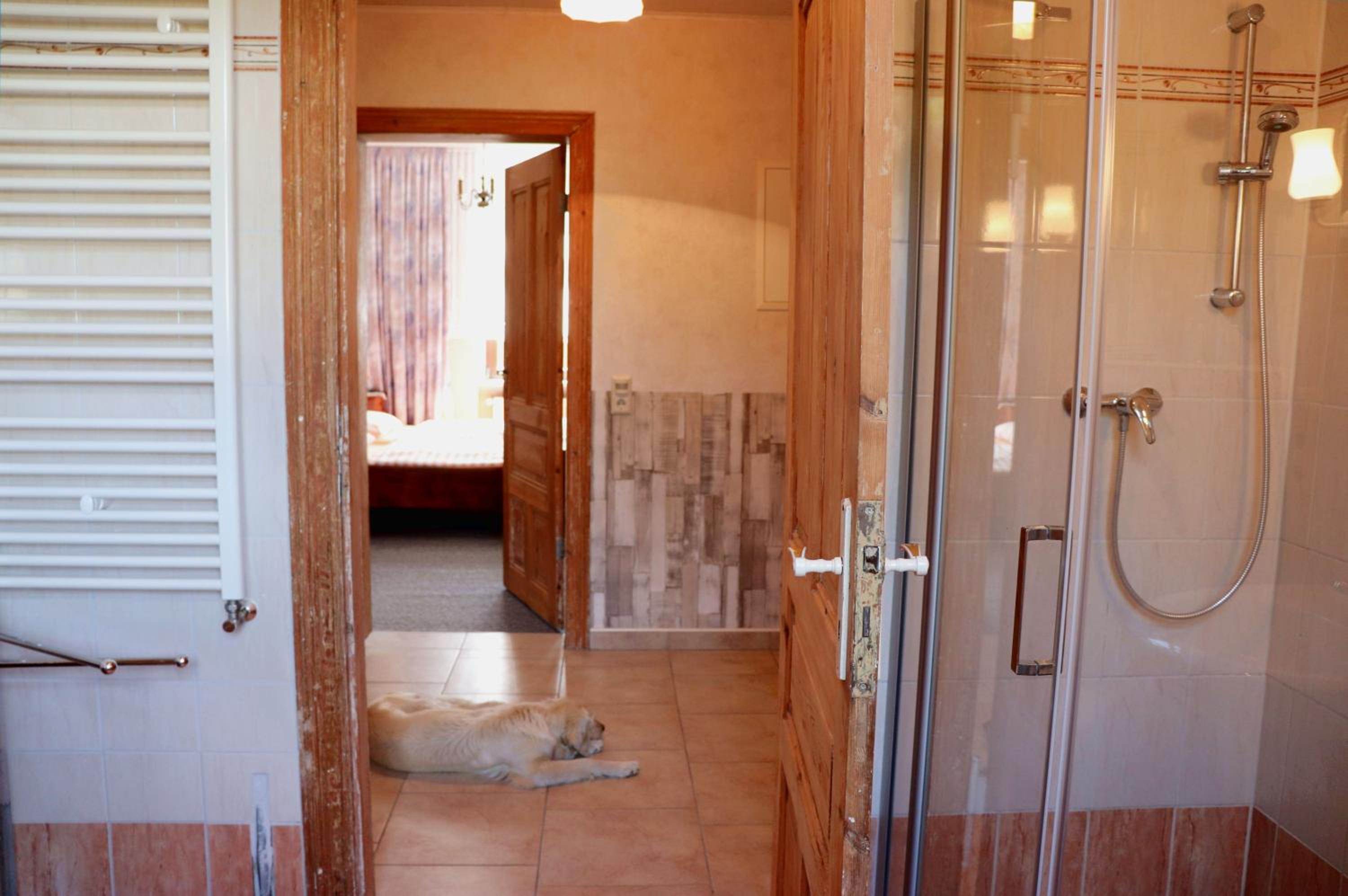 Classic Quadruple Room photo 3