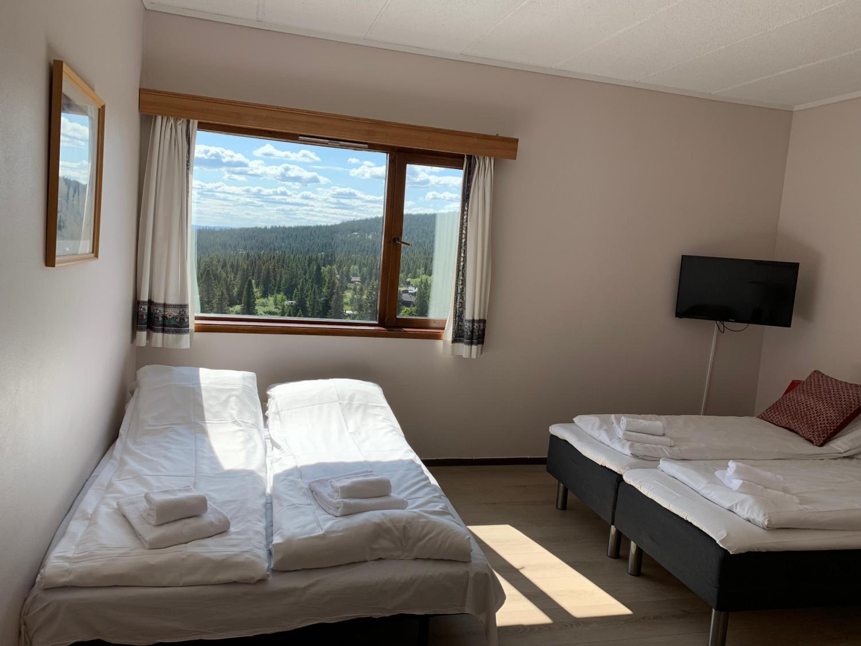 Family Room (2 Adults + 1 Child)
