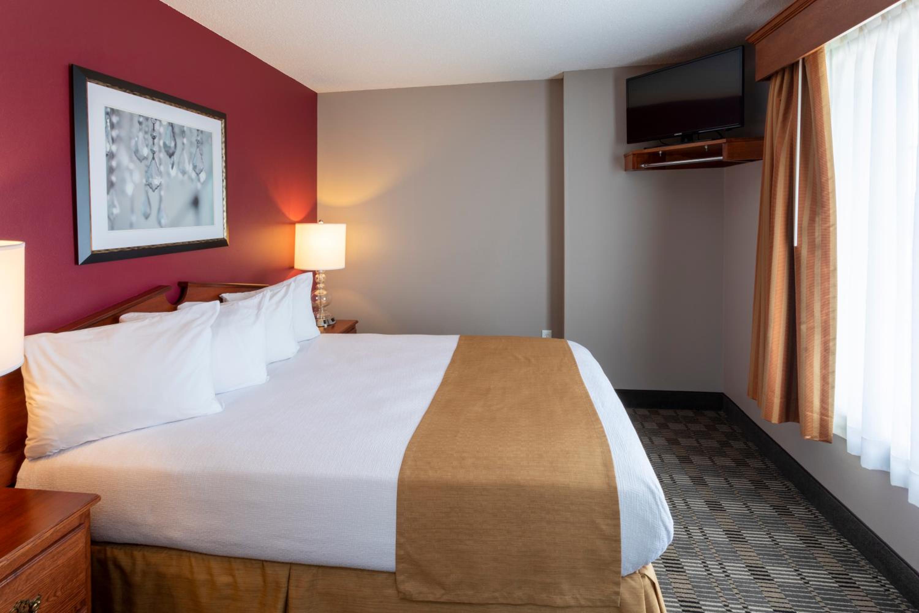 Suite - Photo 1