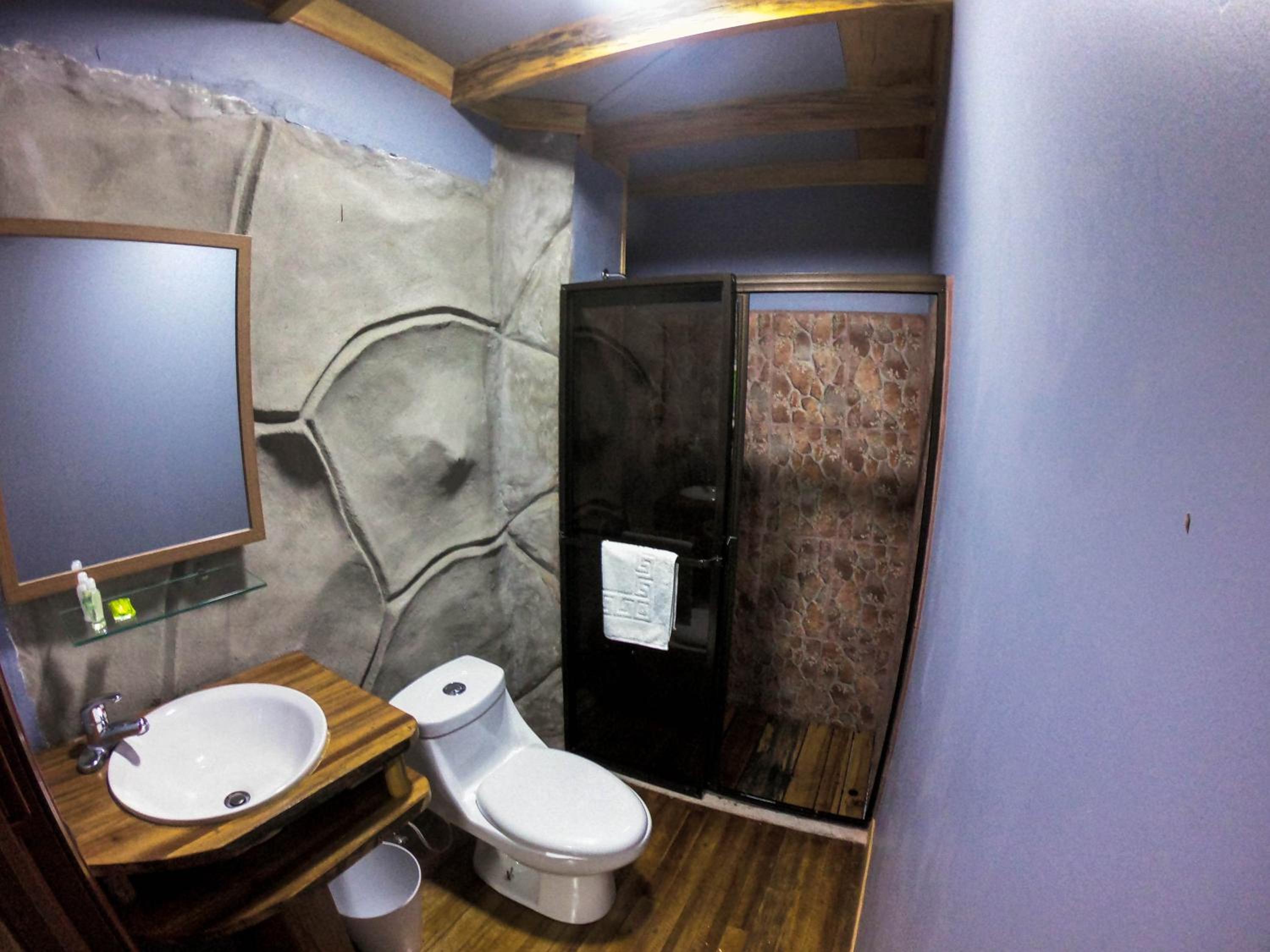 Superior Queen Room photo 2