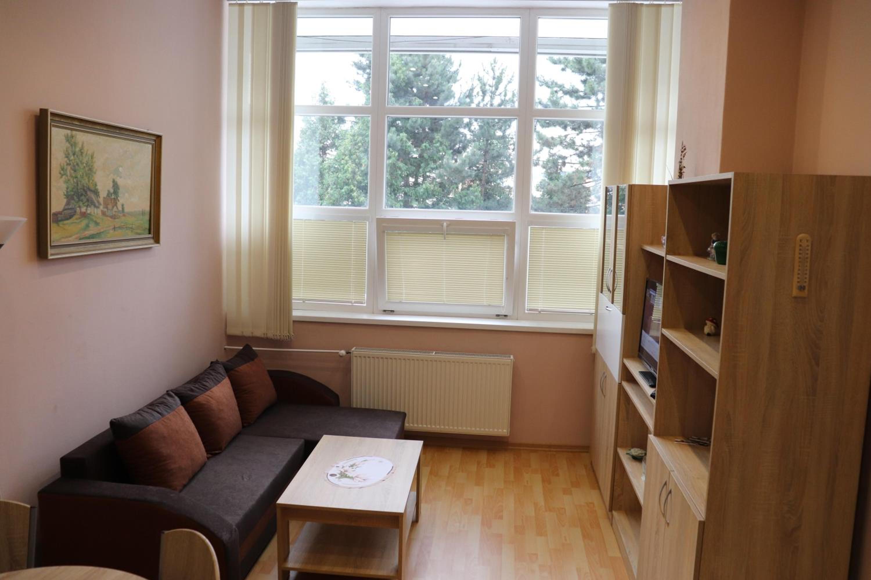 Standard Apartment - Photo 18