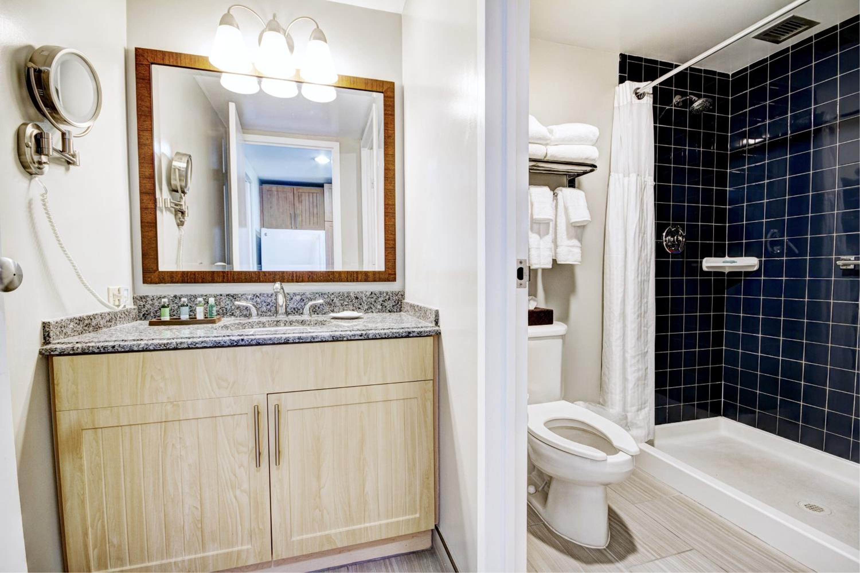 One Bedroom Deluxe photo 3
