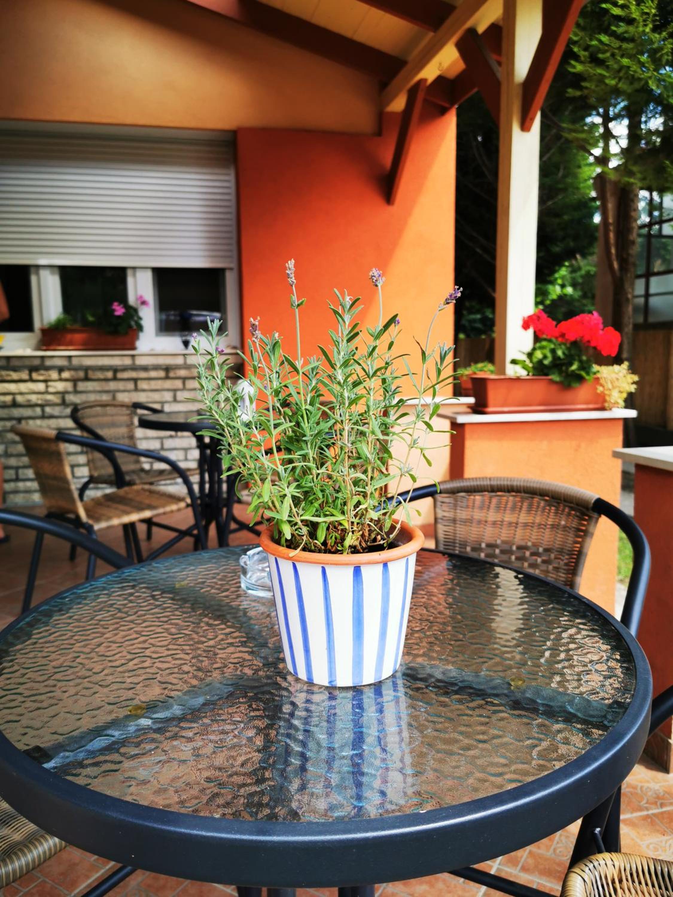 Apartment - Photo 24