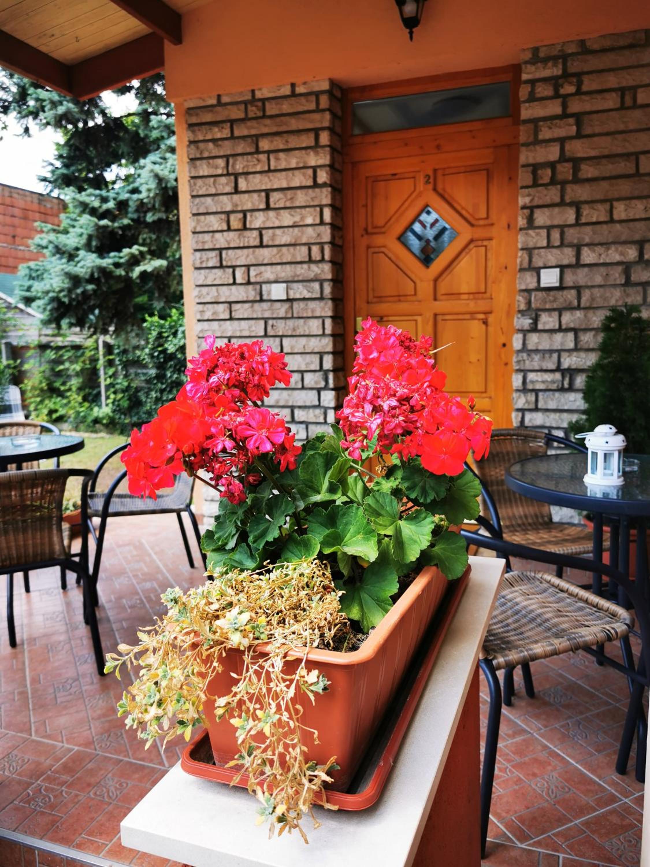 Apartment - Photo 9