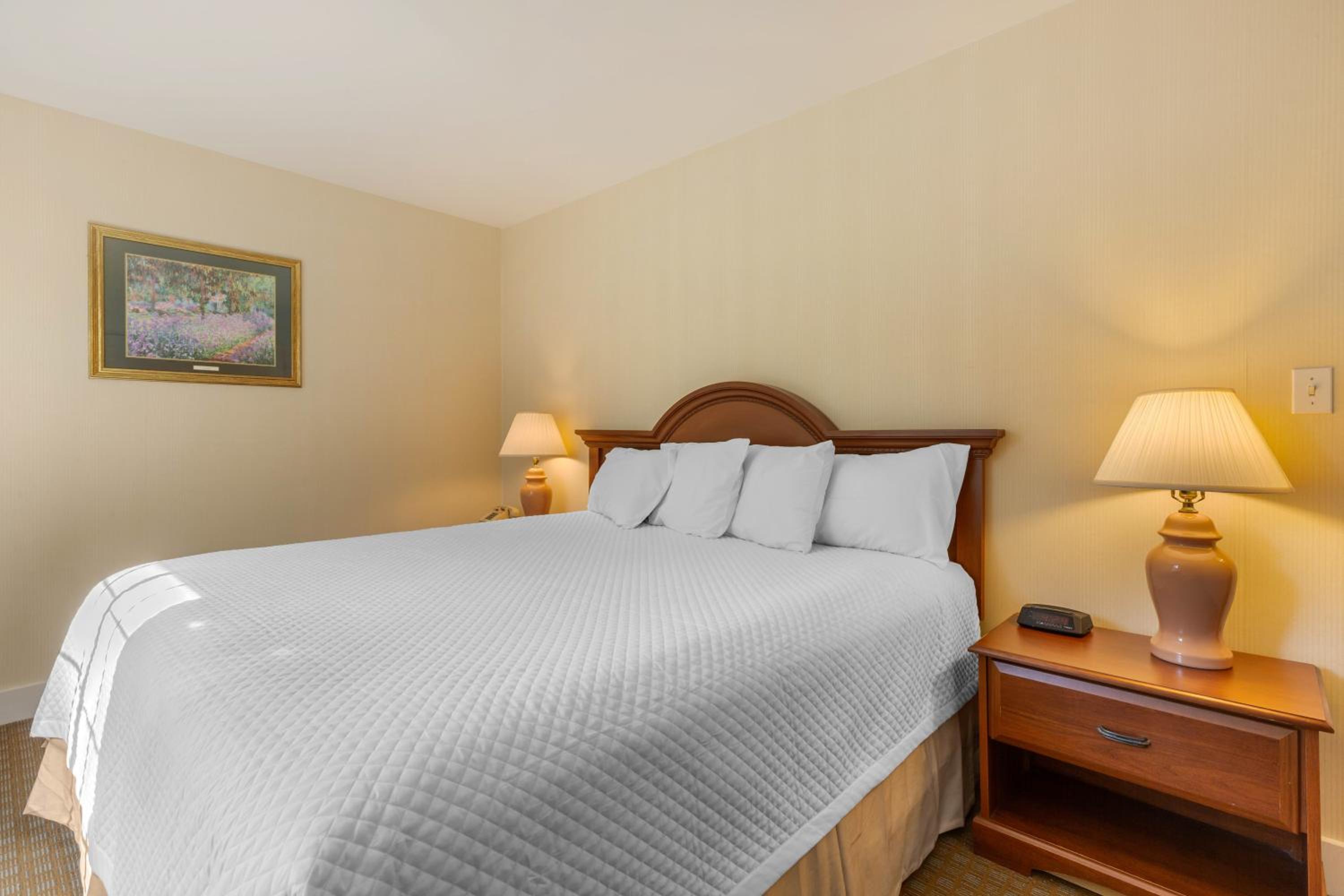 One-Bedroom Suite