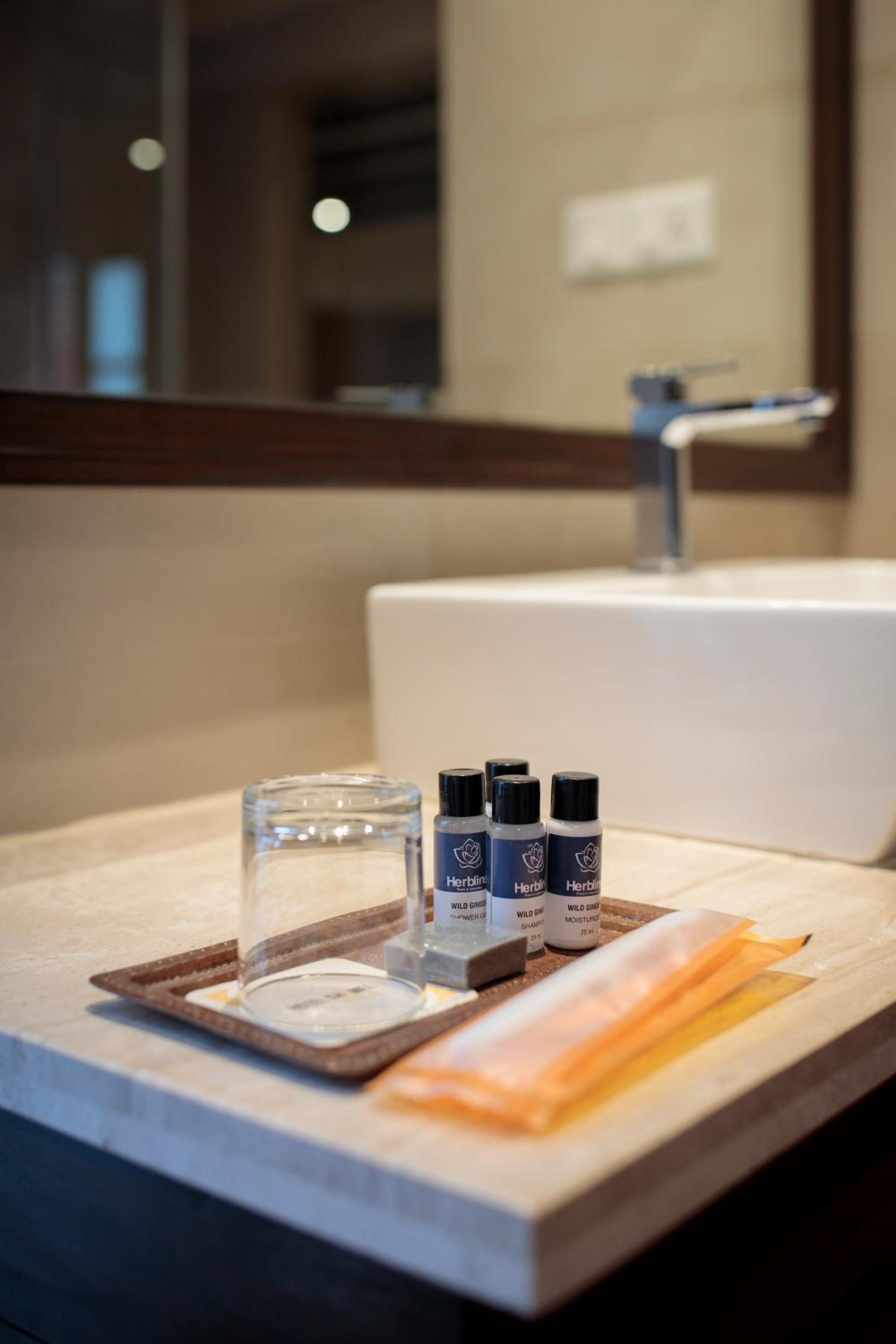 Deluxe Double or Twin Room  15% food and beverage discount - Photo 8
