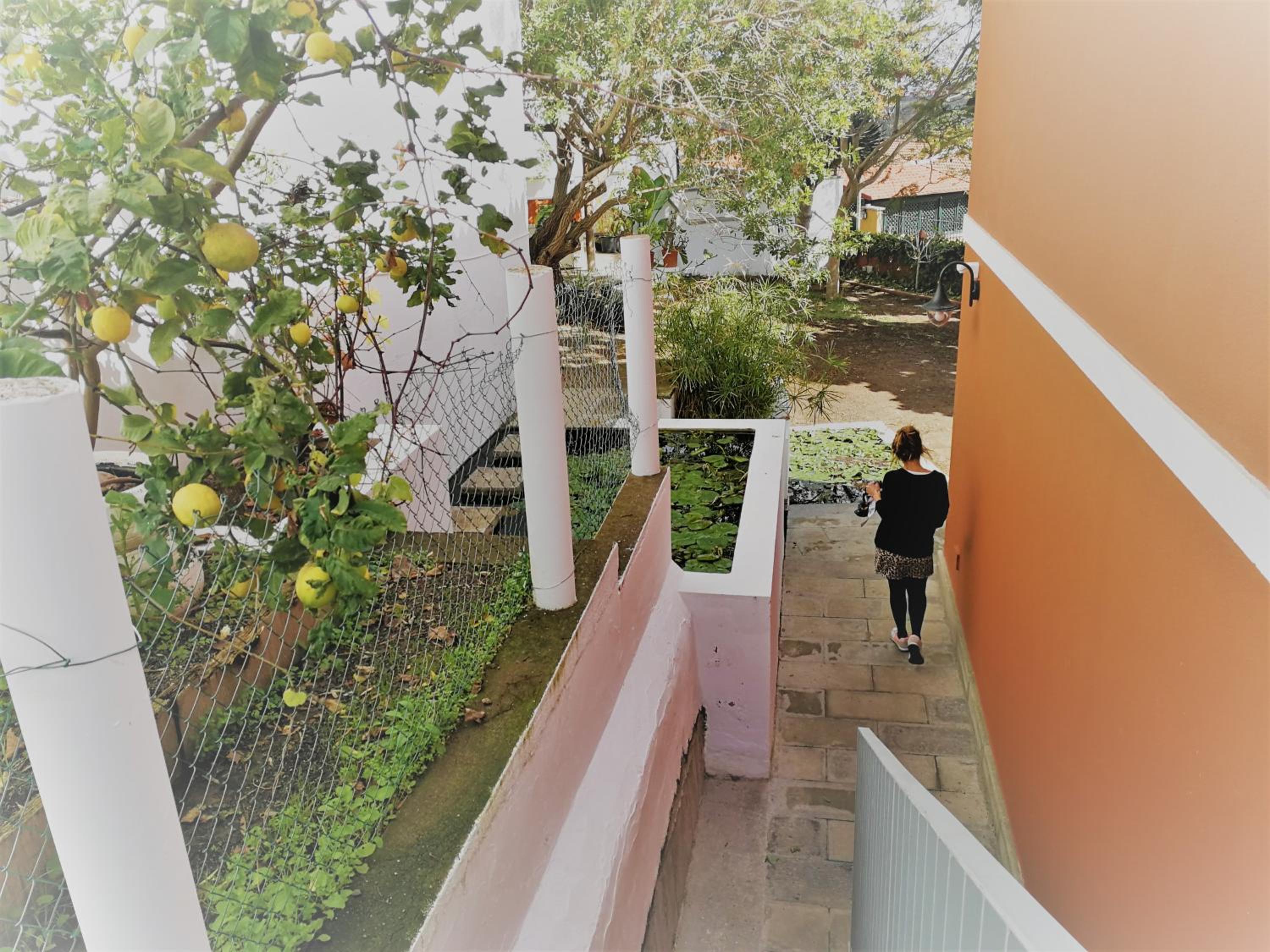 Apartment with Garden View - Photo 8