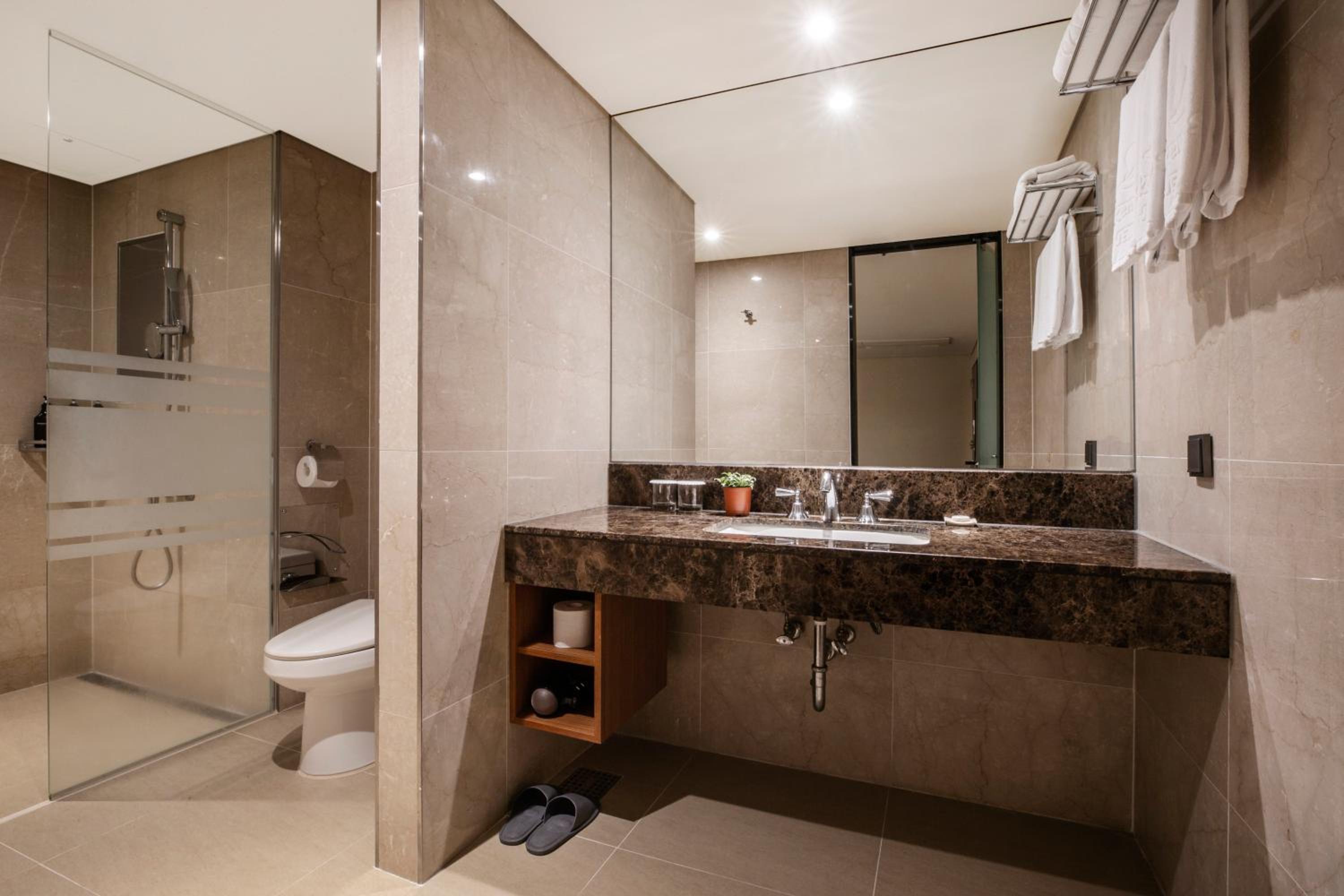 Deluxe Double or Twin Room photo 2