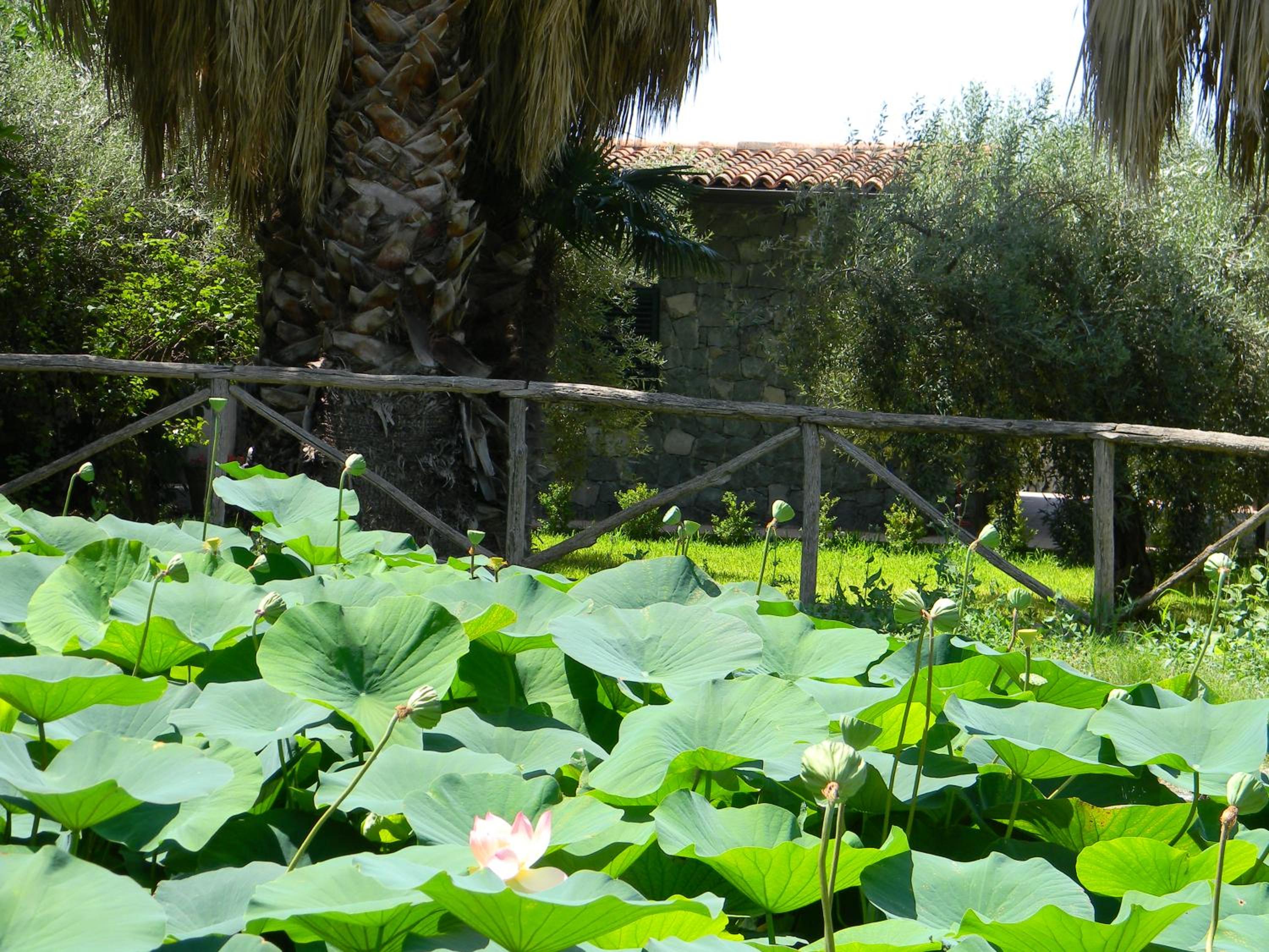 Villa with Garden View photo 2