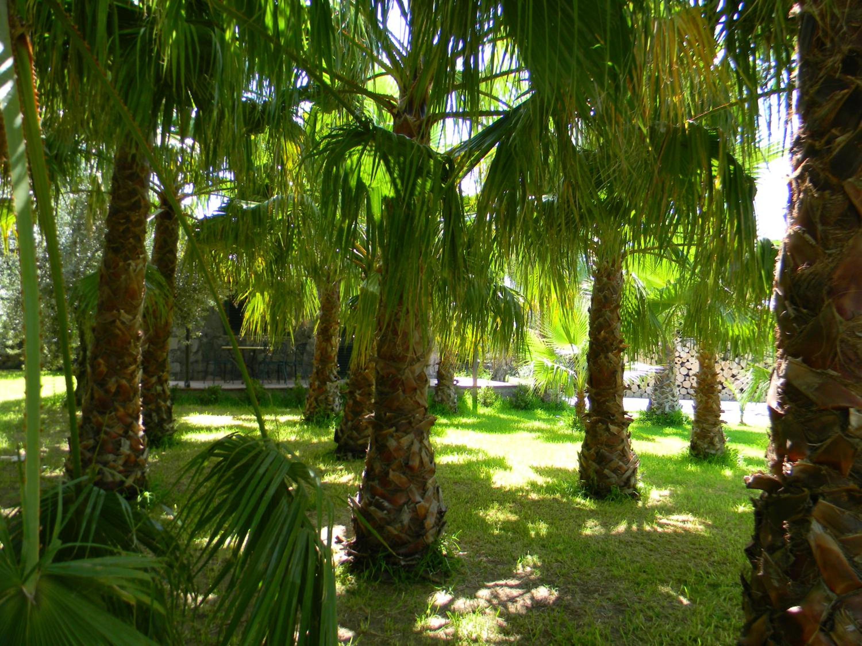 Villa with Garden View photo 3