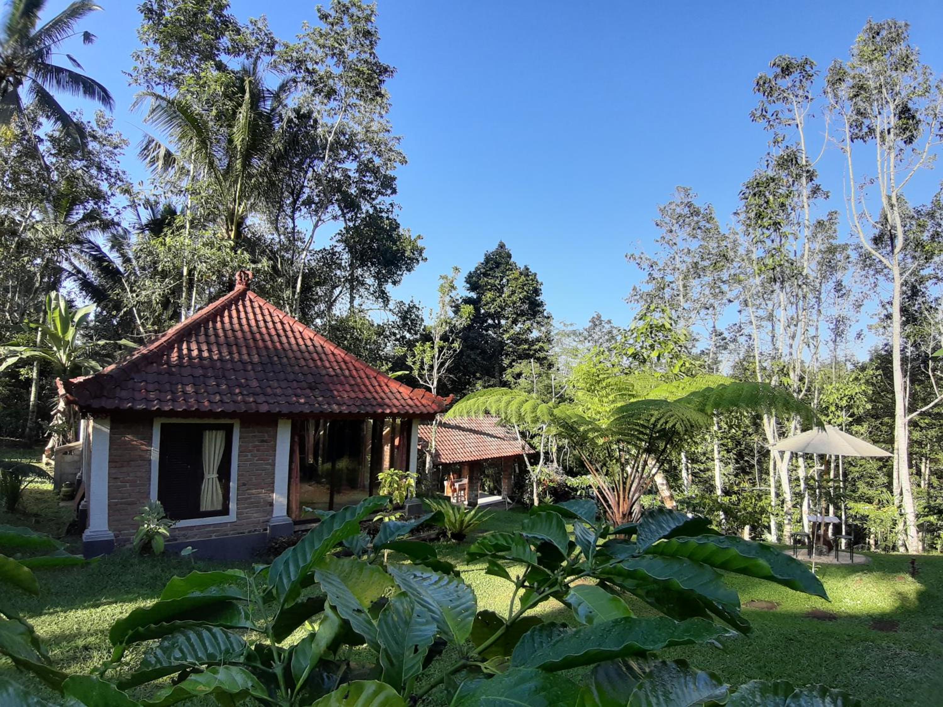 Deluxe Bungalow with Garden View - Photo 11