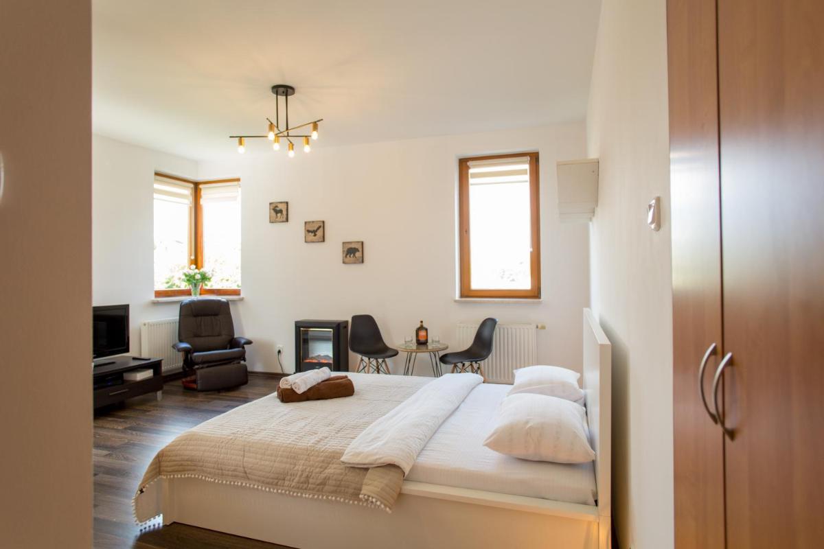 Apartment with Balcony and Private Bathroom - Photo 2