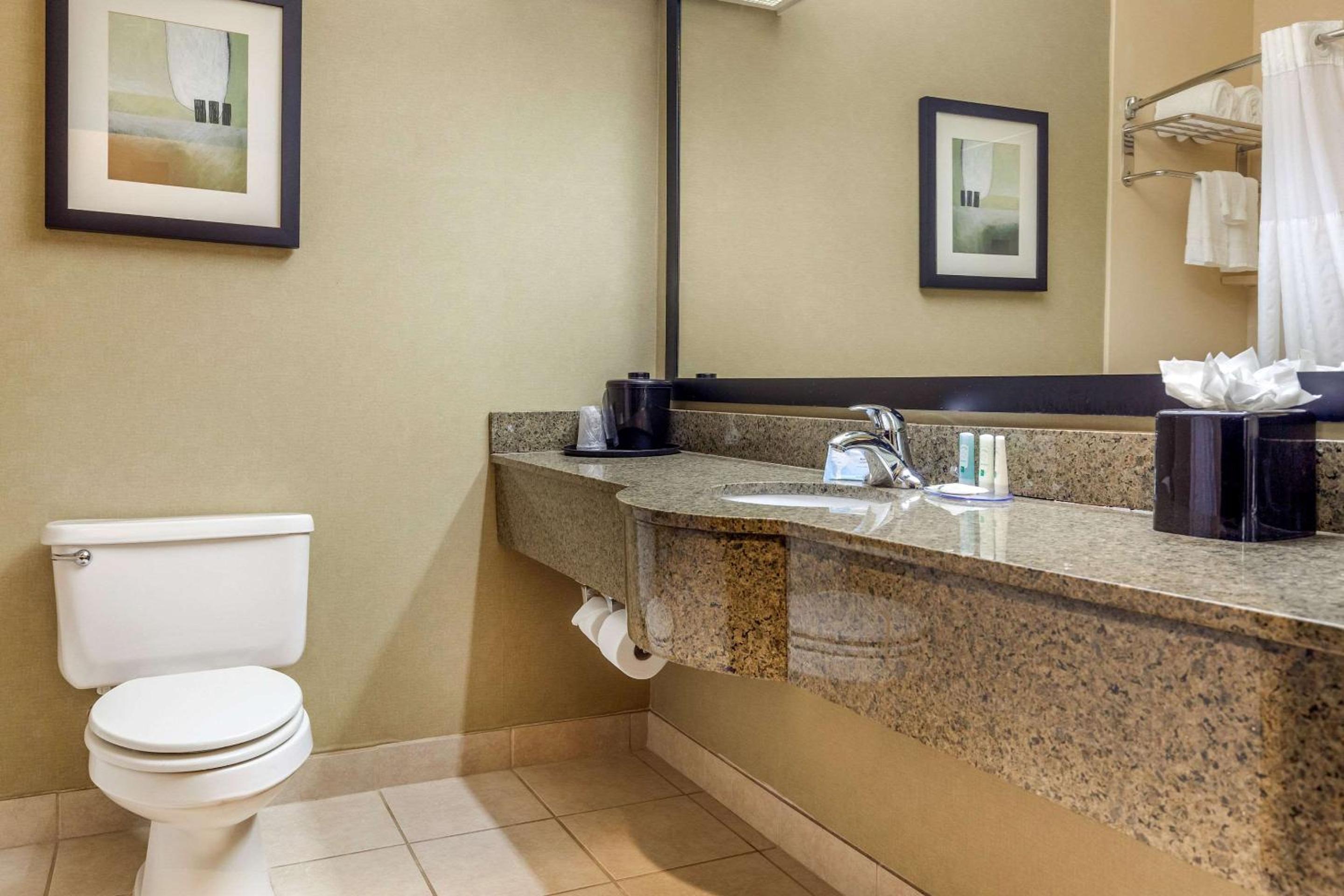 Standard King Room - Non-Smoking  - Photo 4