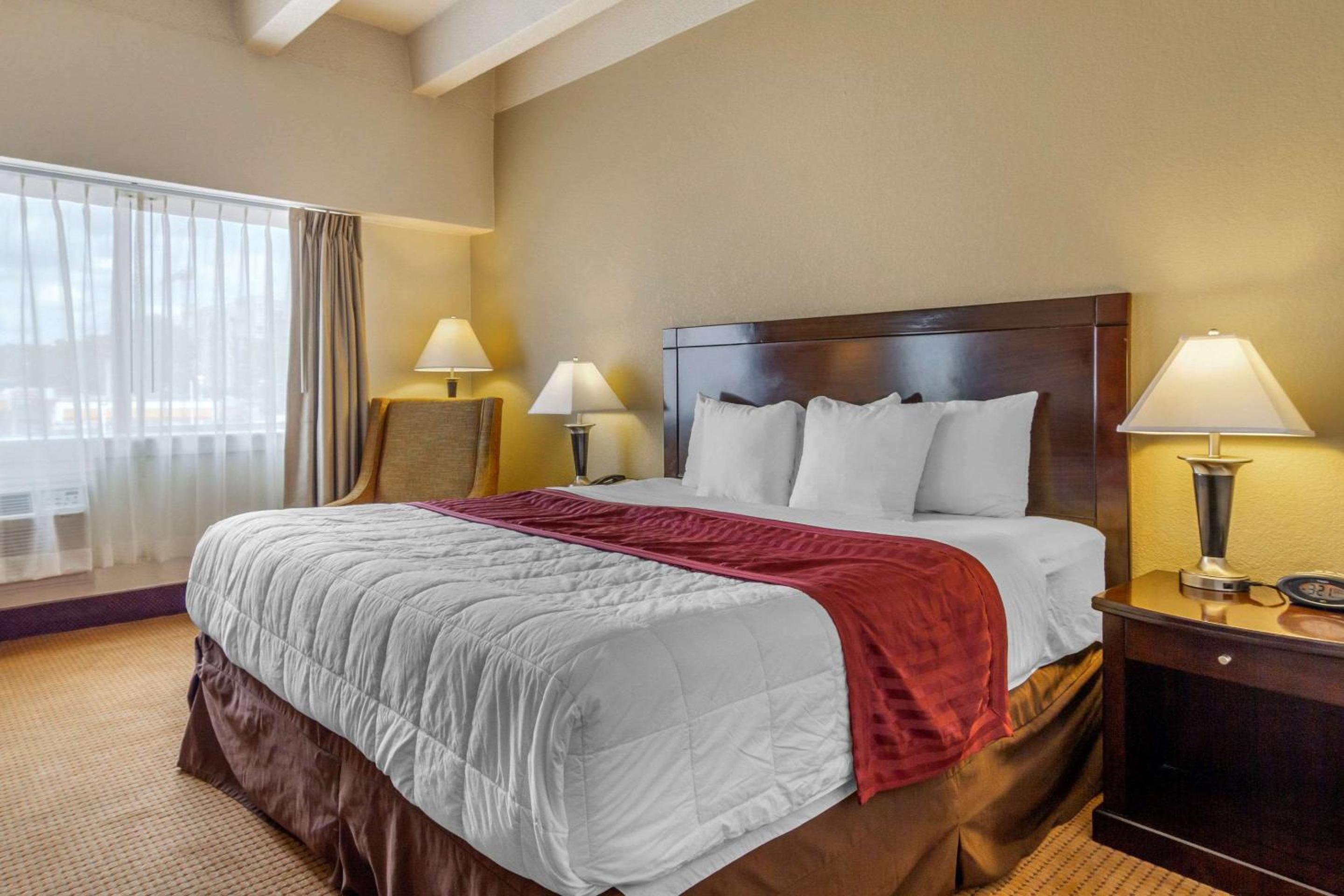 King Room - Non-Smoking - Photo 3