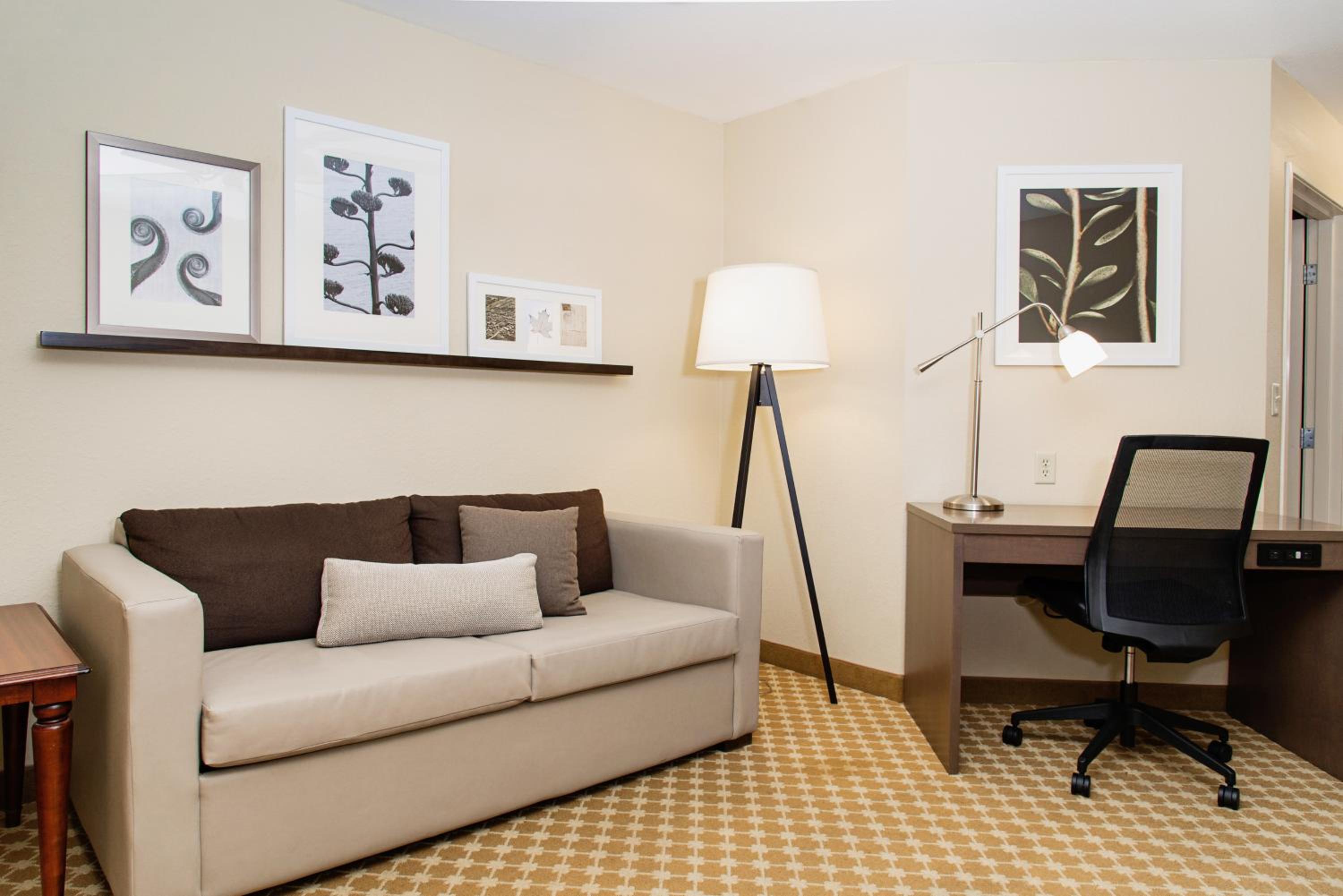 One-Bedroom King Suite - Photo 7