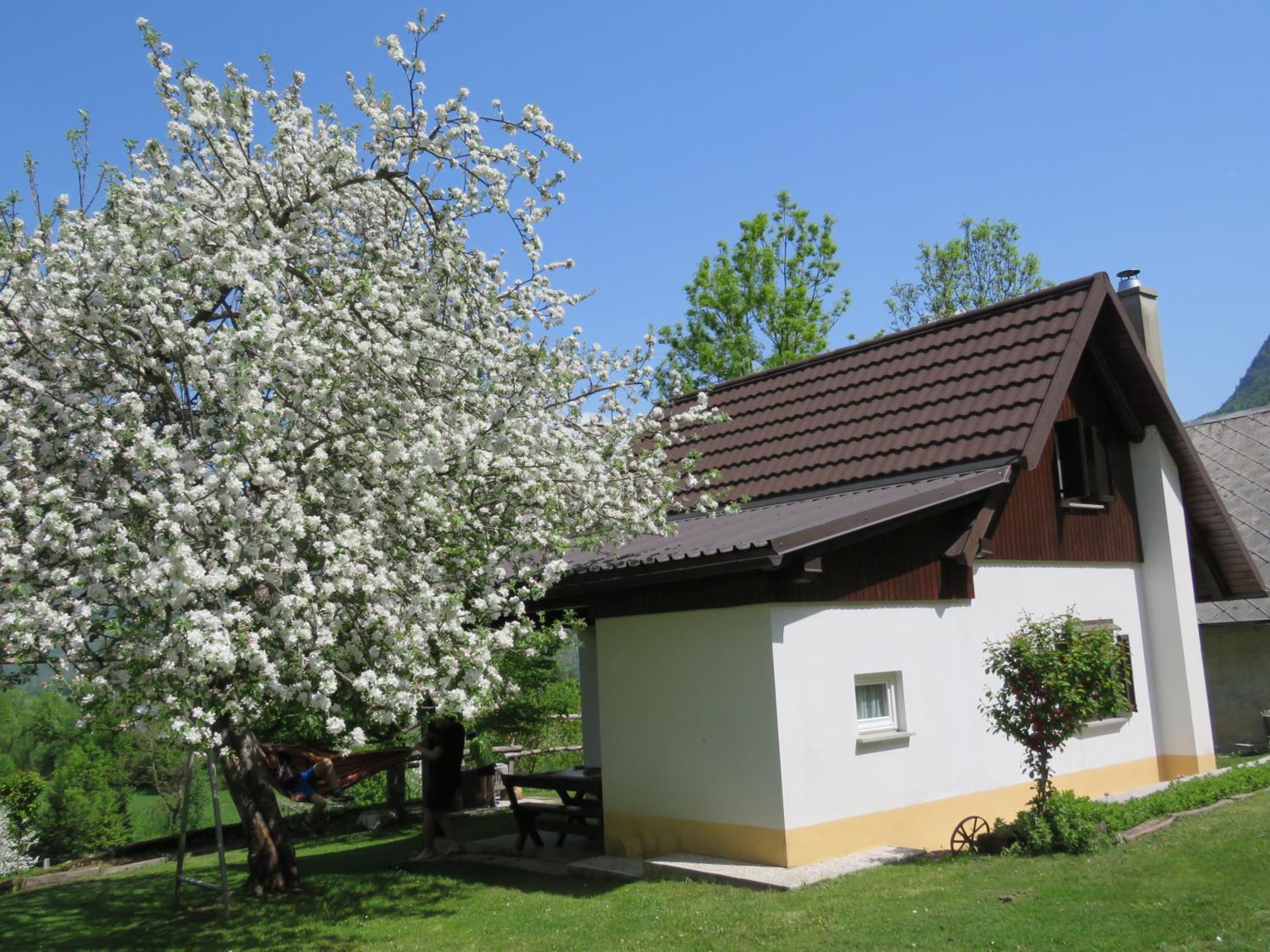 One-Bedroom House photo 2