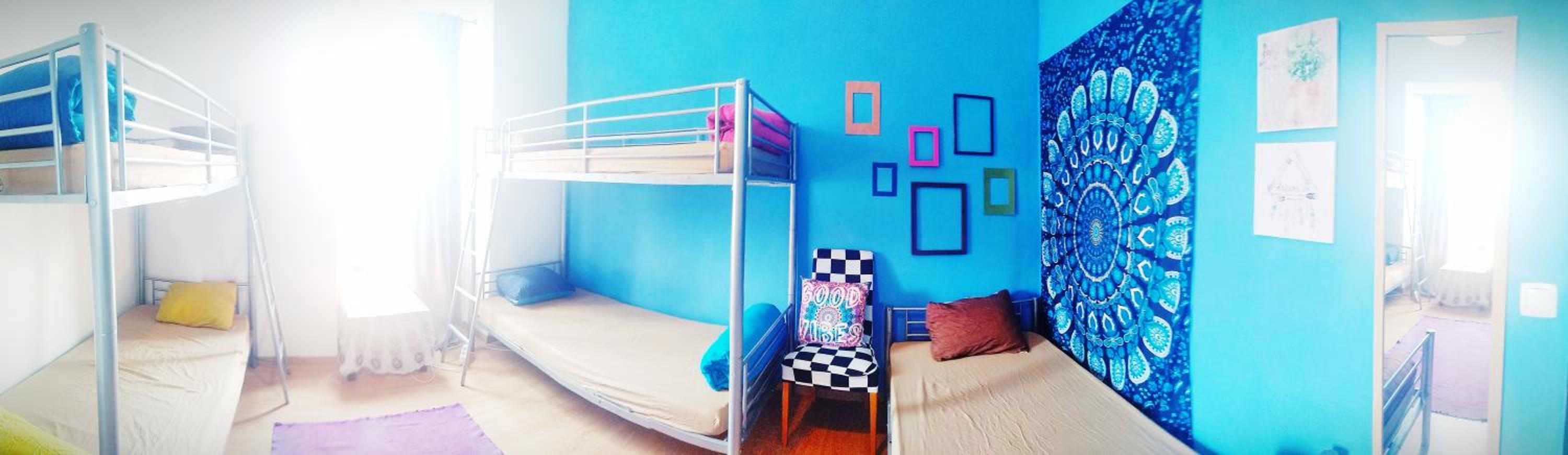 Single Bed in Mixed Dormitory Room photo 1