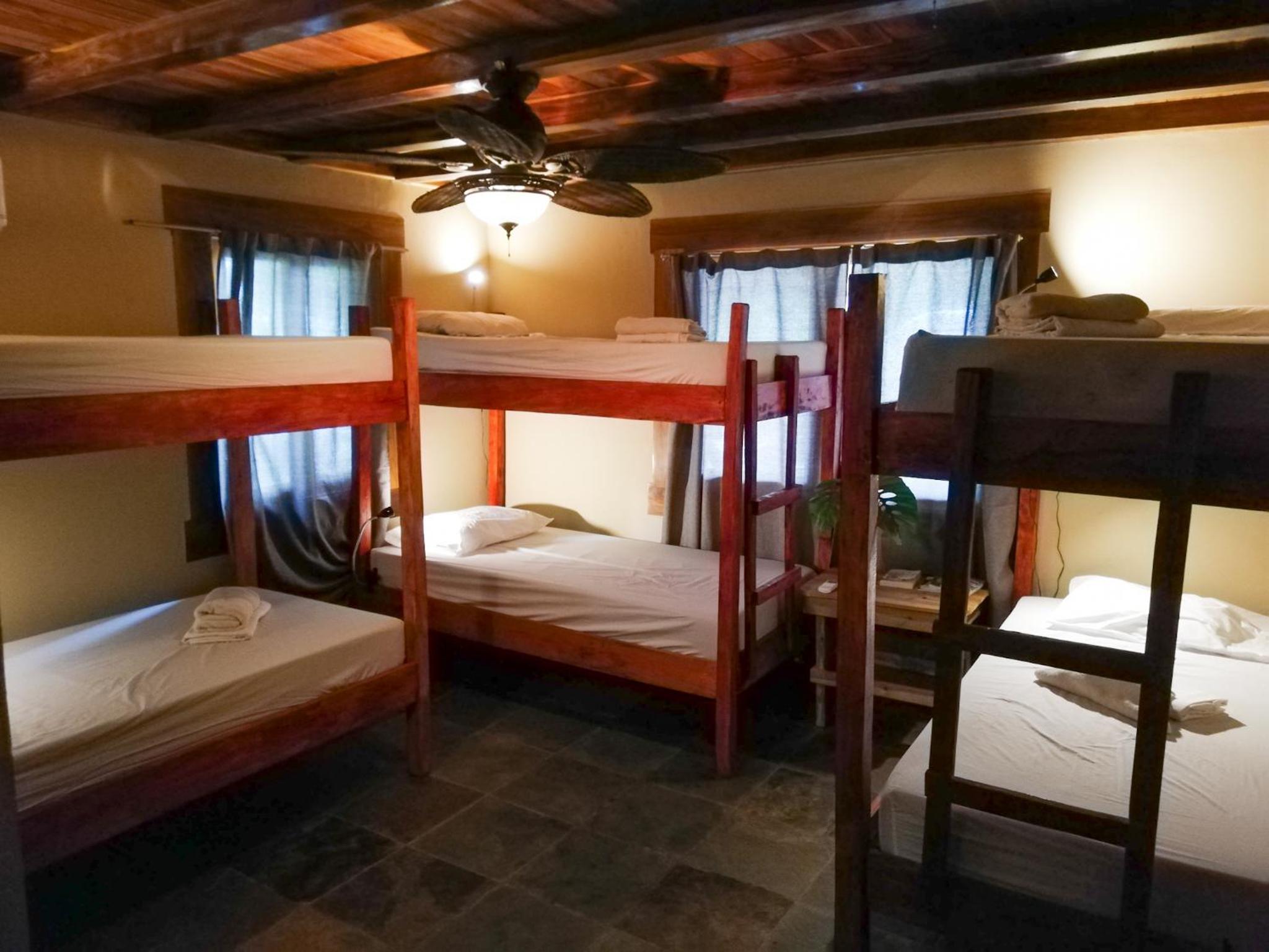 Bed in 6-Bed Mixed Dormitory Room photo 1