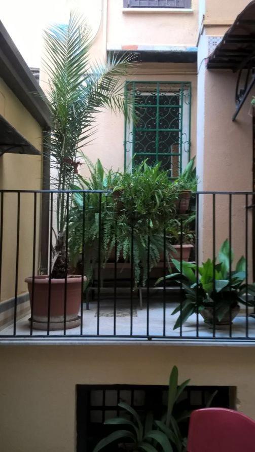 Apartment with Terrace - Photo 17