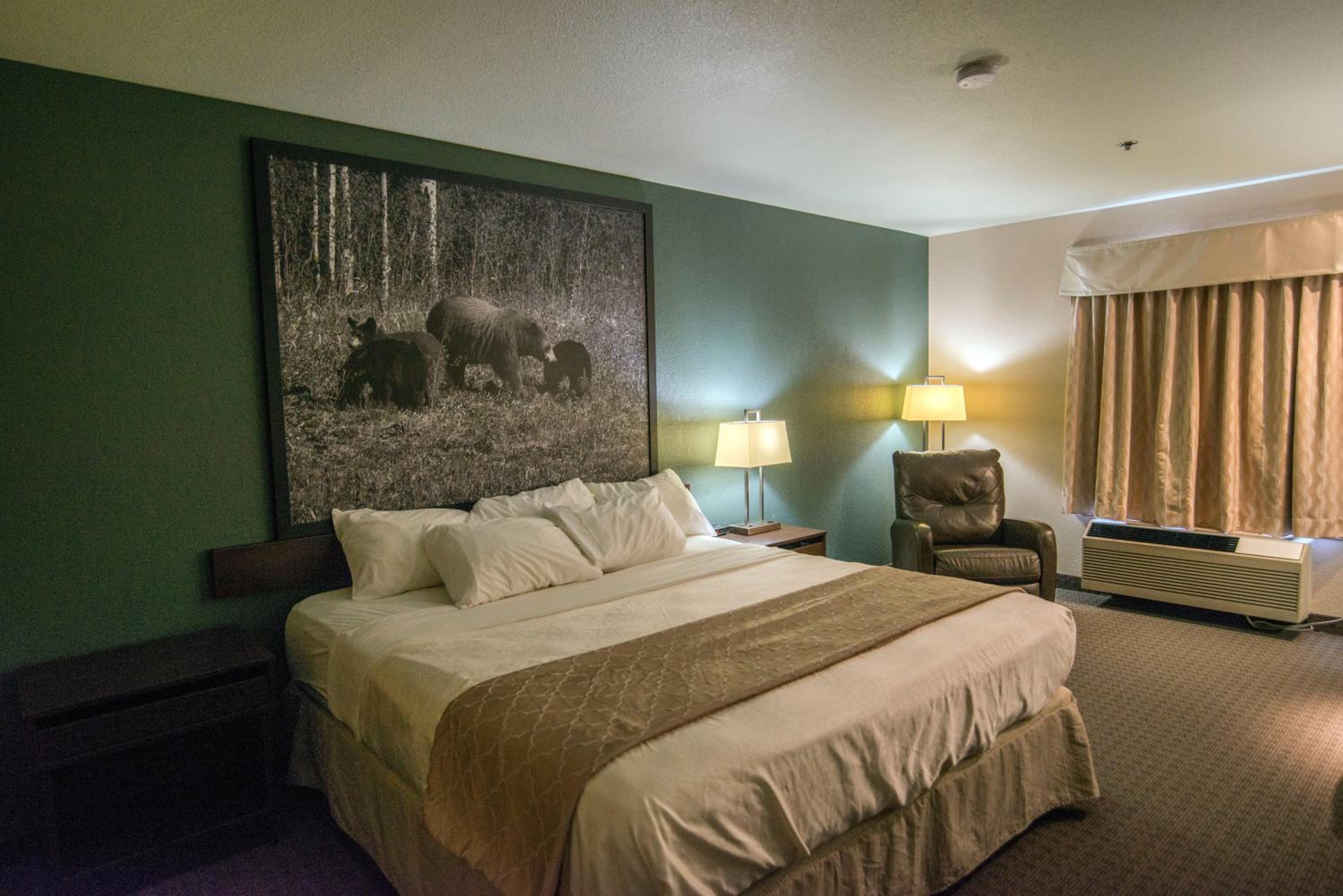King Room - Non-Smoking photo 1