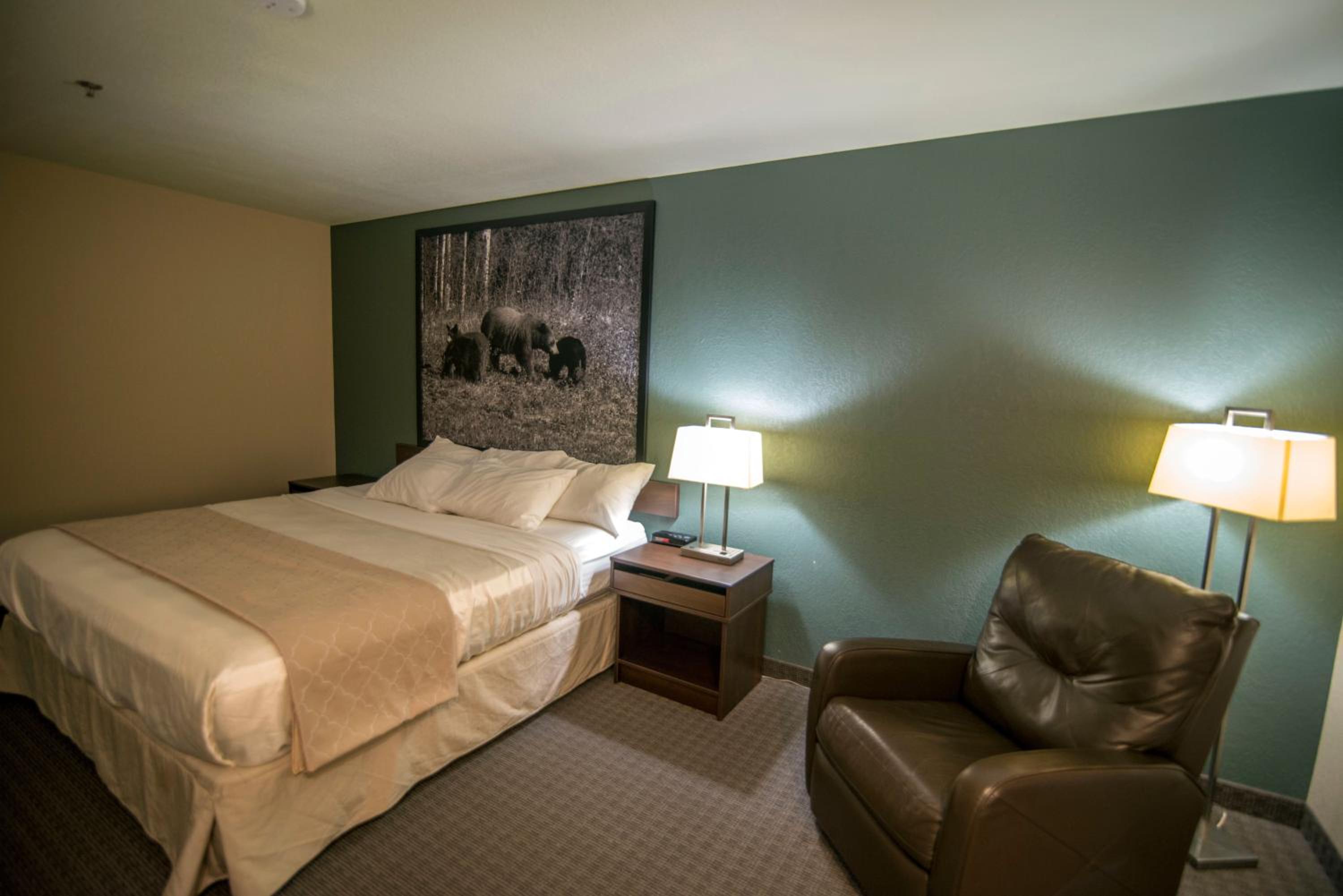 King Room - Non-Smoking photo 3