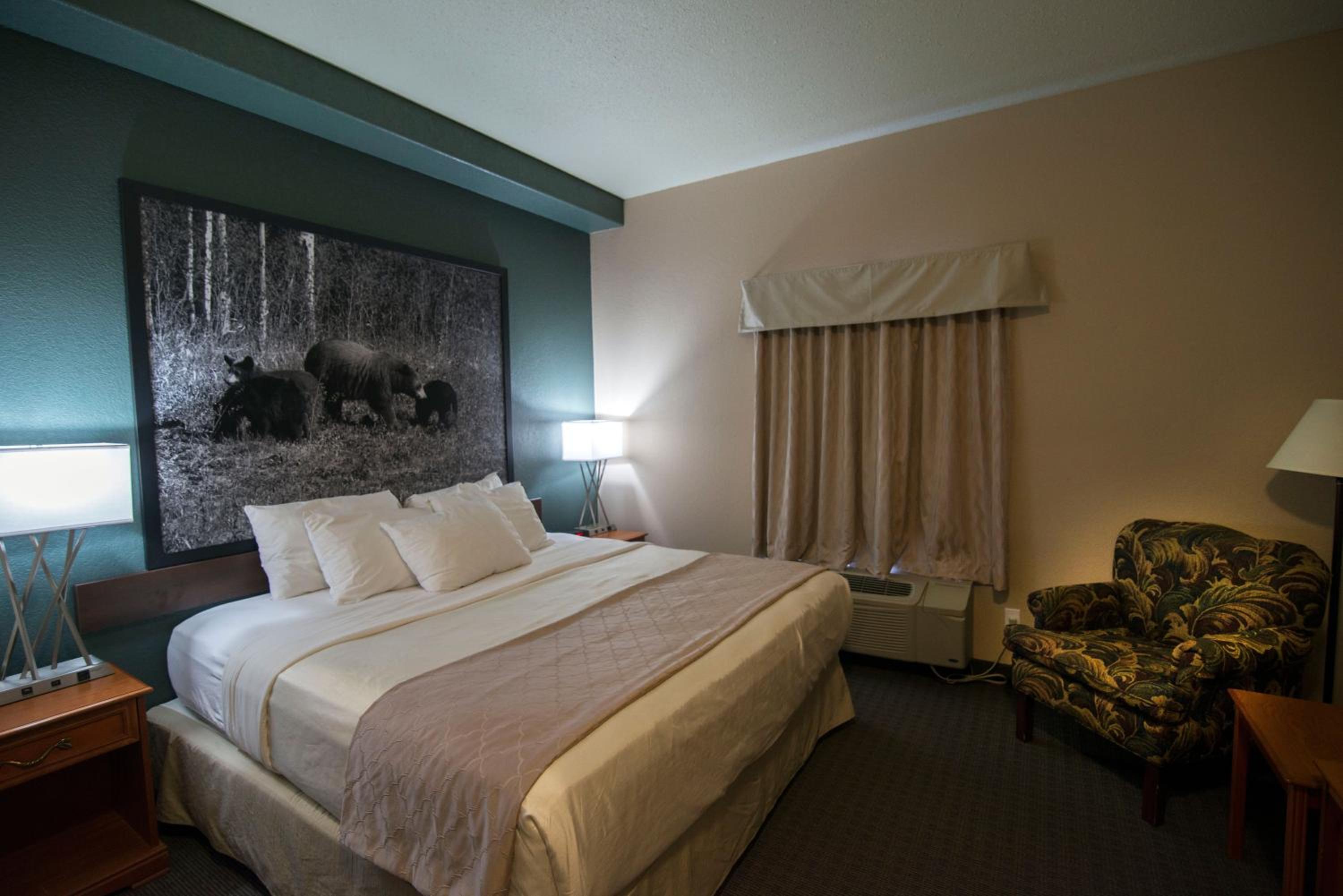 One-Bedroom King Suite - Non-Smoking photo 3