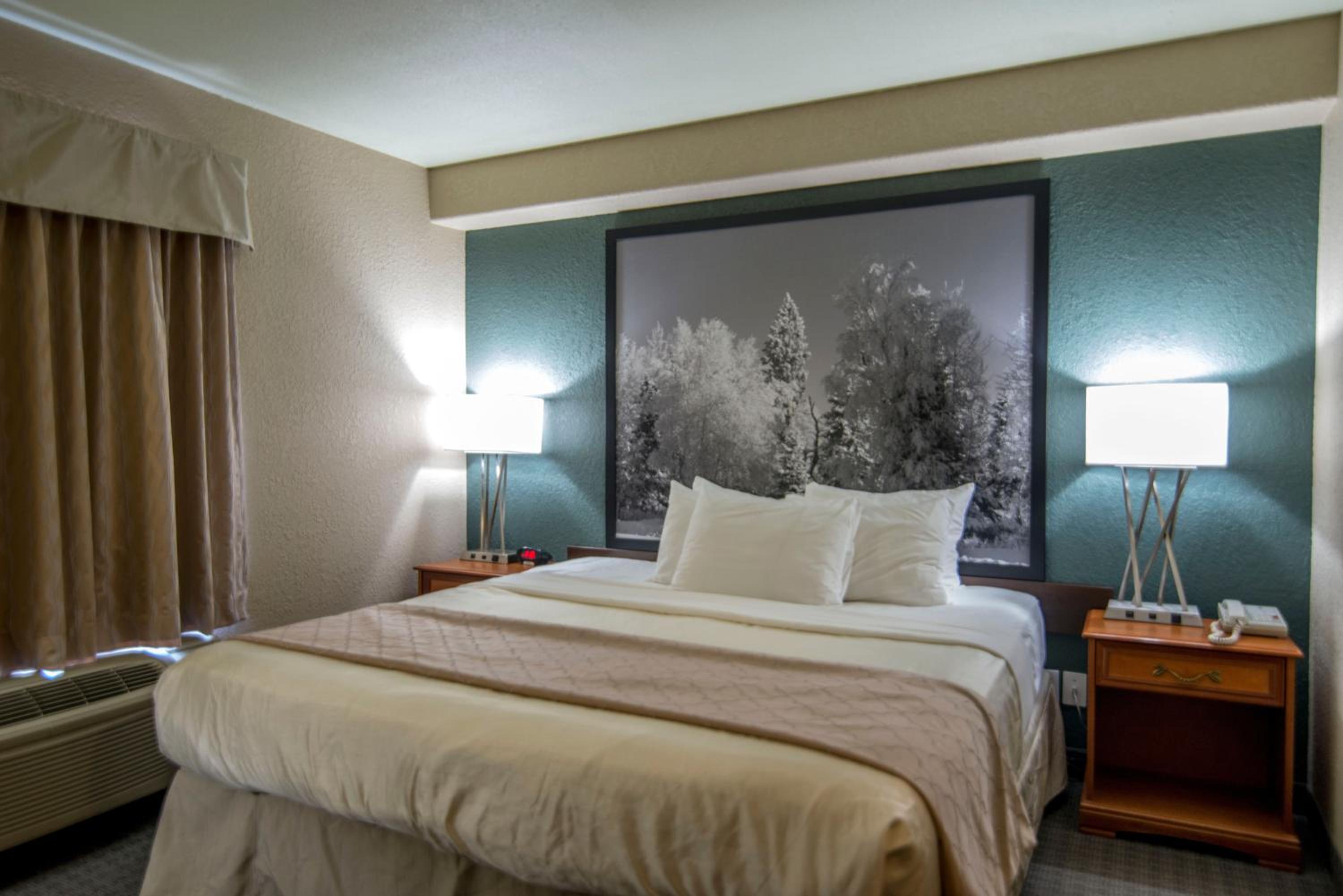 Superior One-Bedroom King Suite - Non-Smoking photo 2