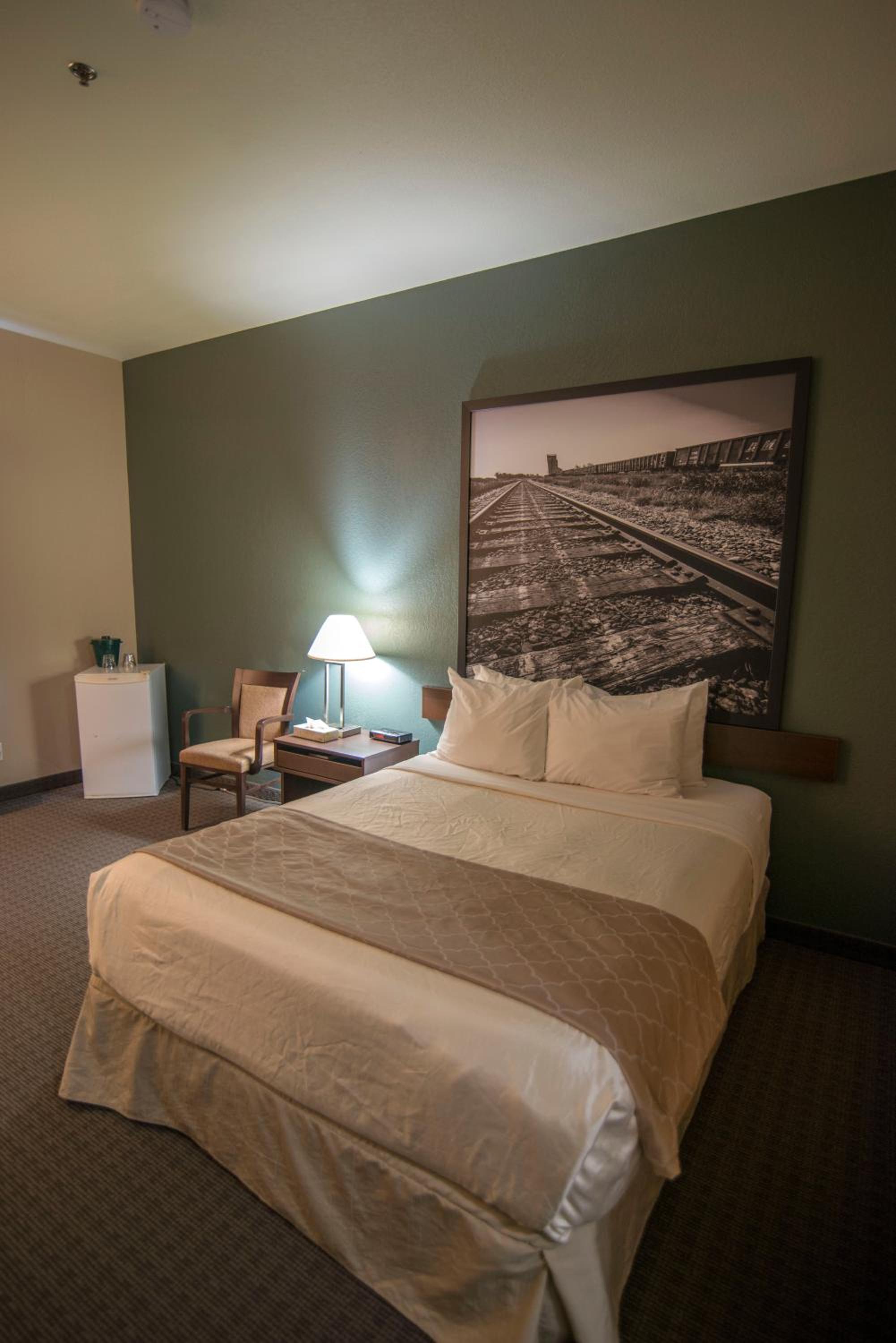 Queen Room - Disability Access/Non-Smoking photo 3