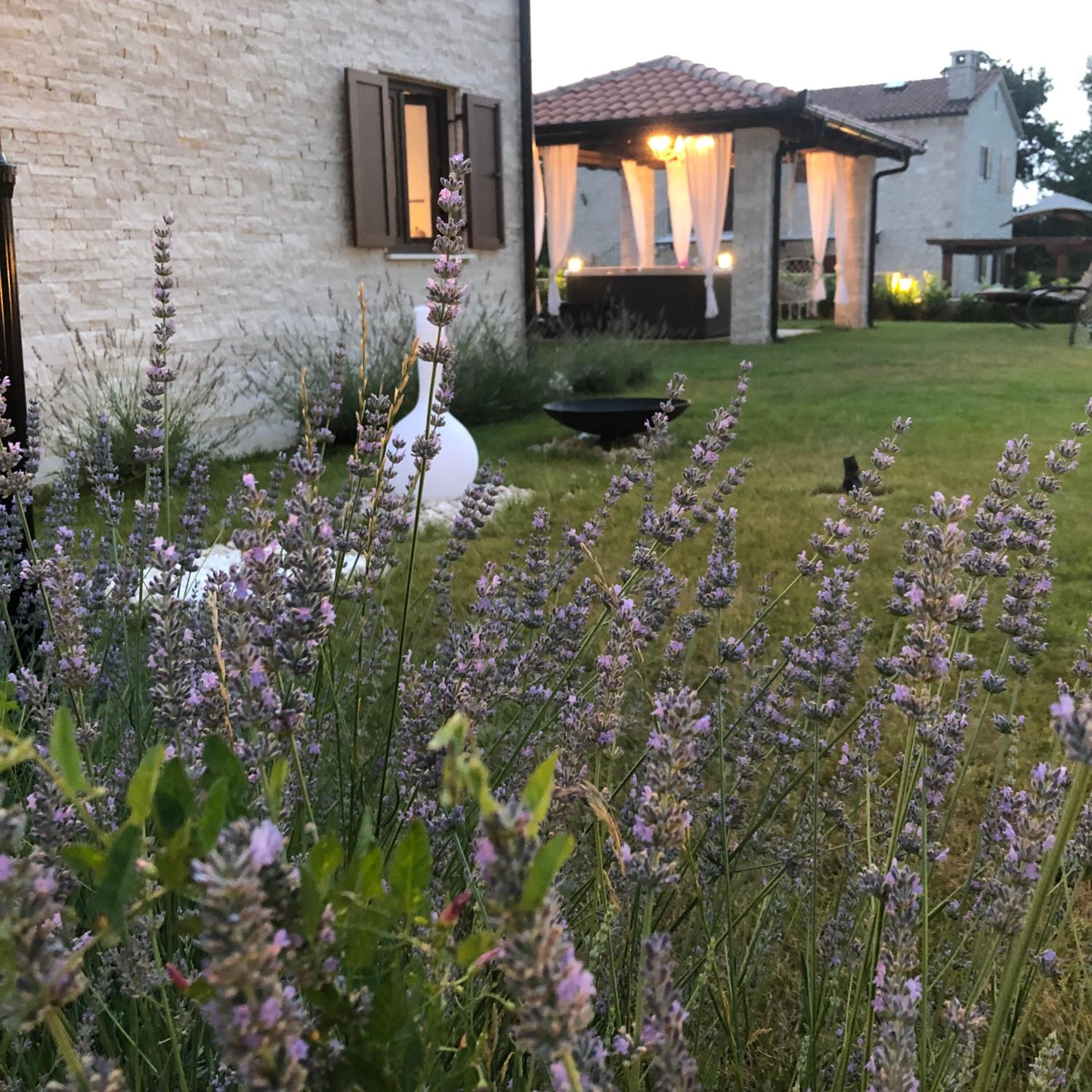 Superior Villa photo 3