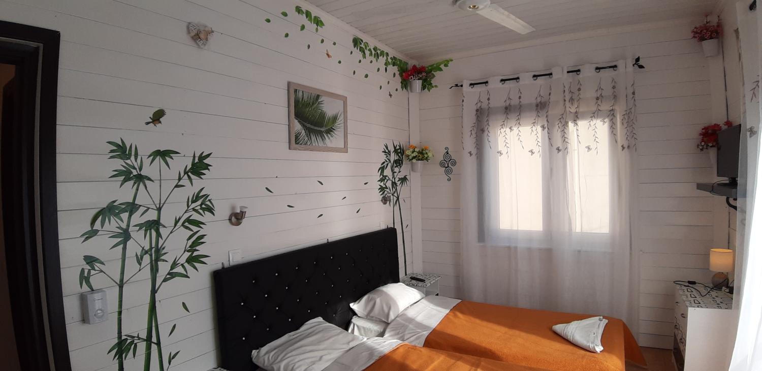 Economy Studio (2 Adults)