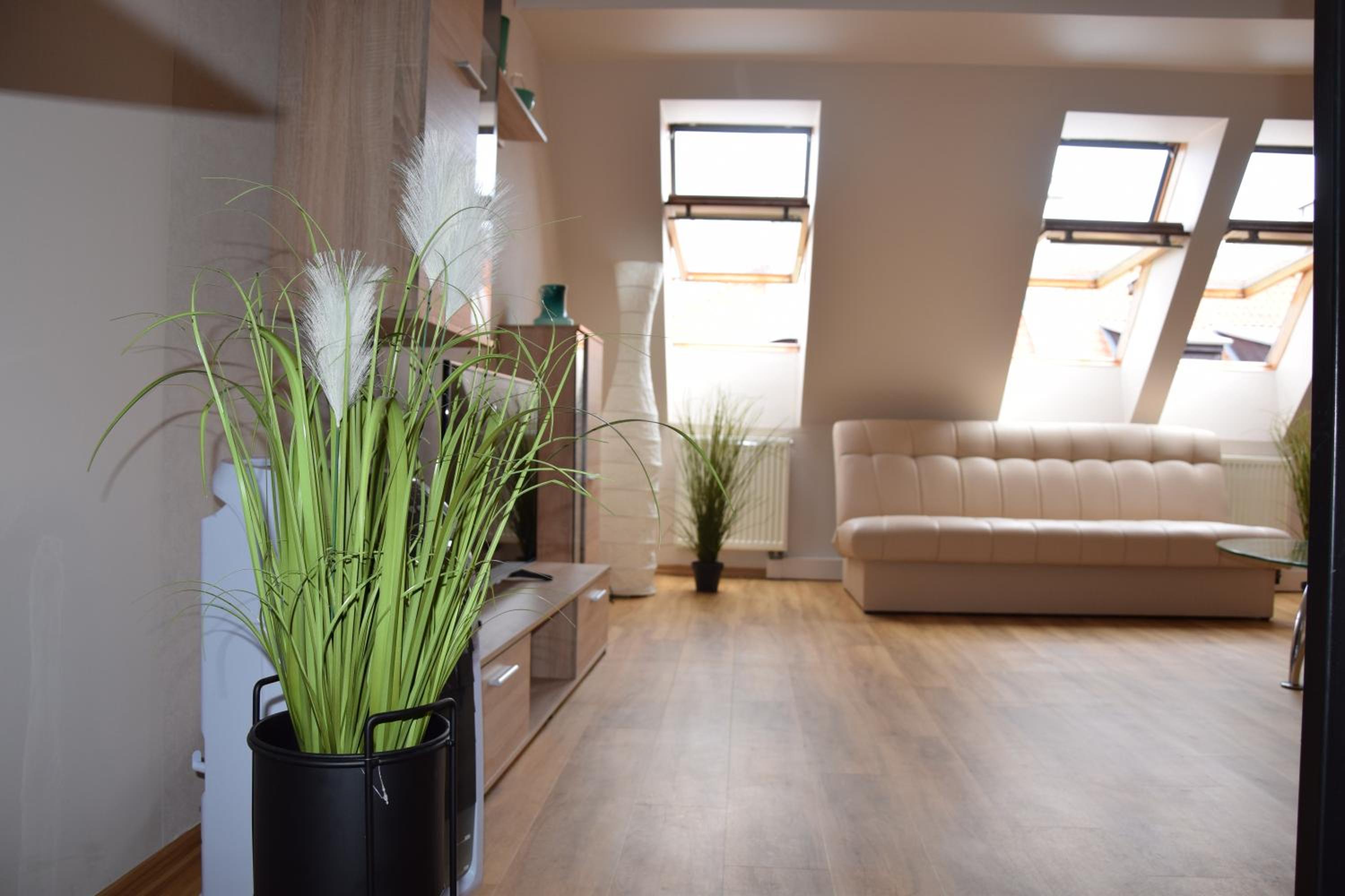 Apartment photo 1
