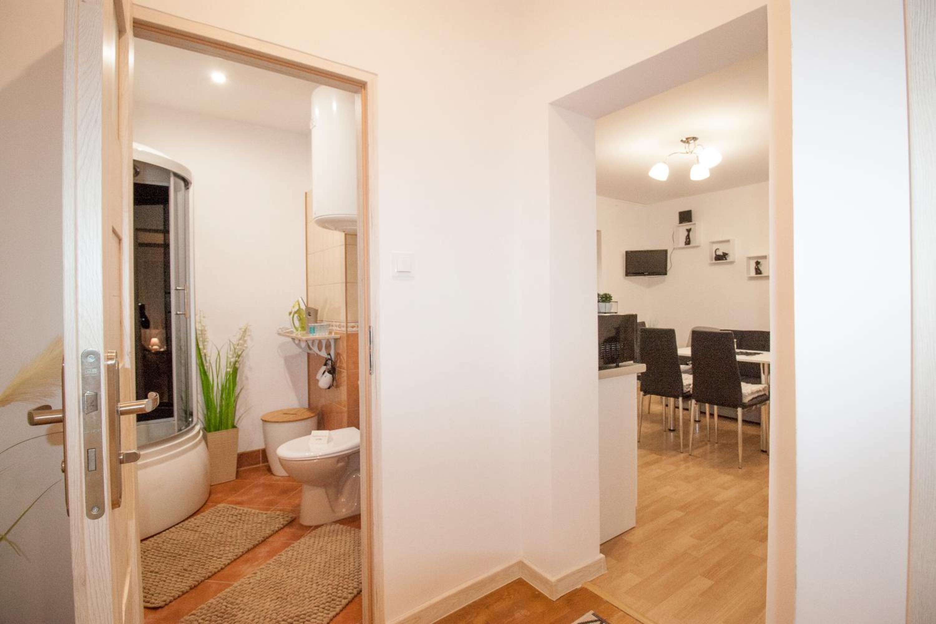 Apartment with Terrace - Photo 10