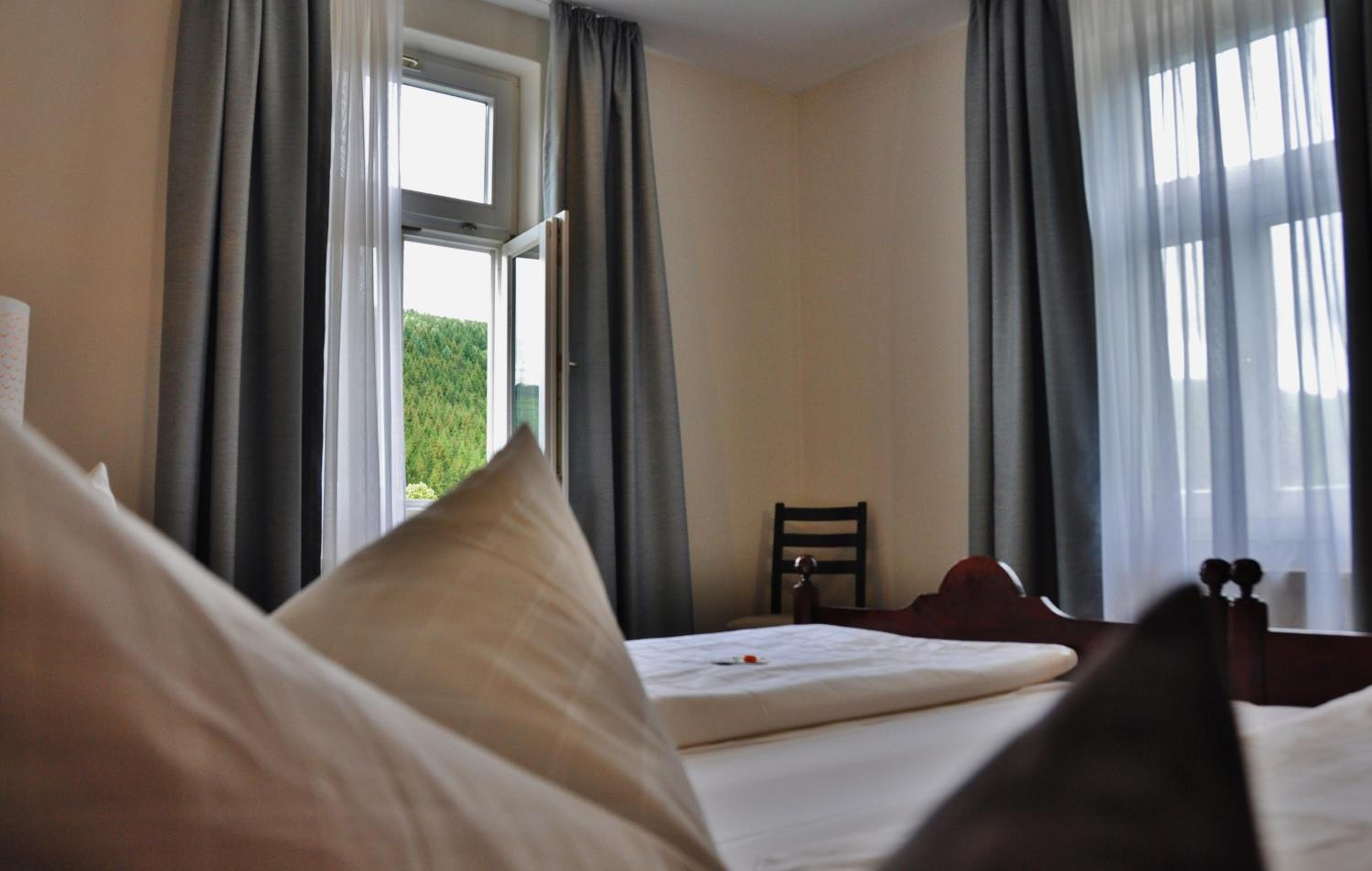 Deluxe Double or Twin Room photo 2