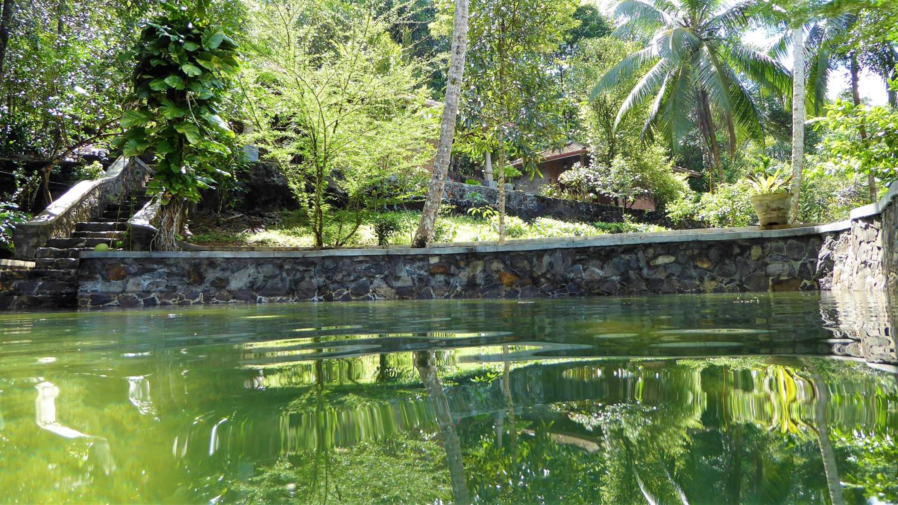 Luxury Chalet with Private Pool photo 3