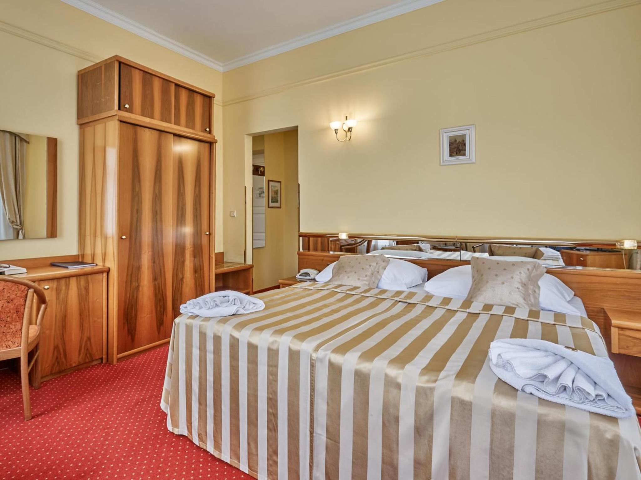 Double or Twin Room (view of the gardens Dvorak) - Photo 7