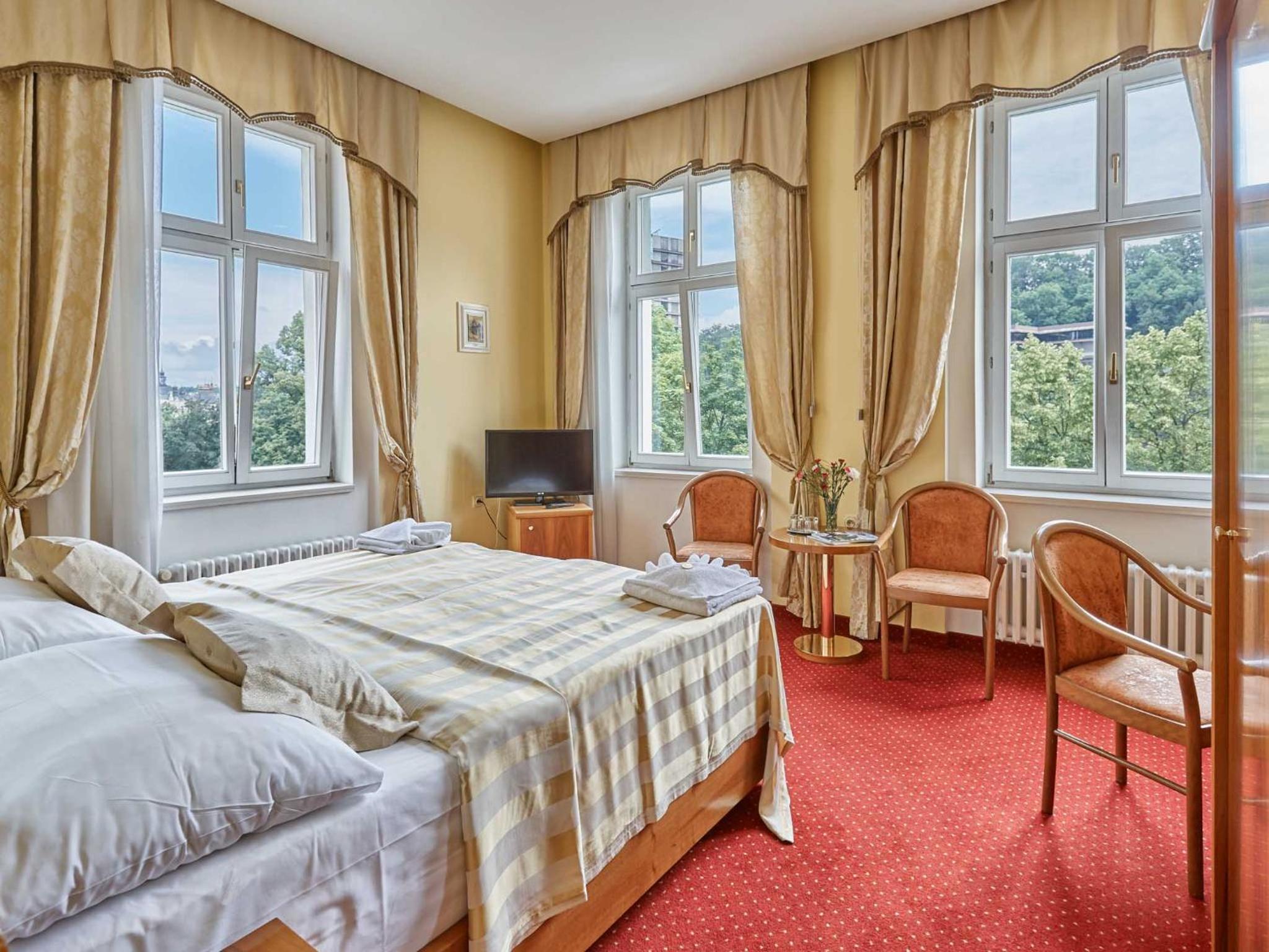 Double or Twin Room (view of the gardens Dvorak) - Photo 8