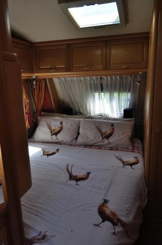 Caravan photo 2