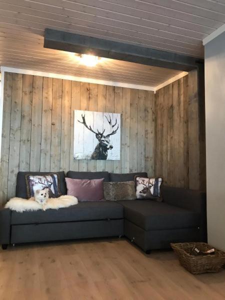 Studio Apartment - Photo 2